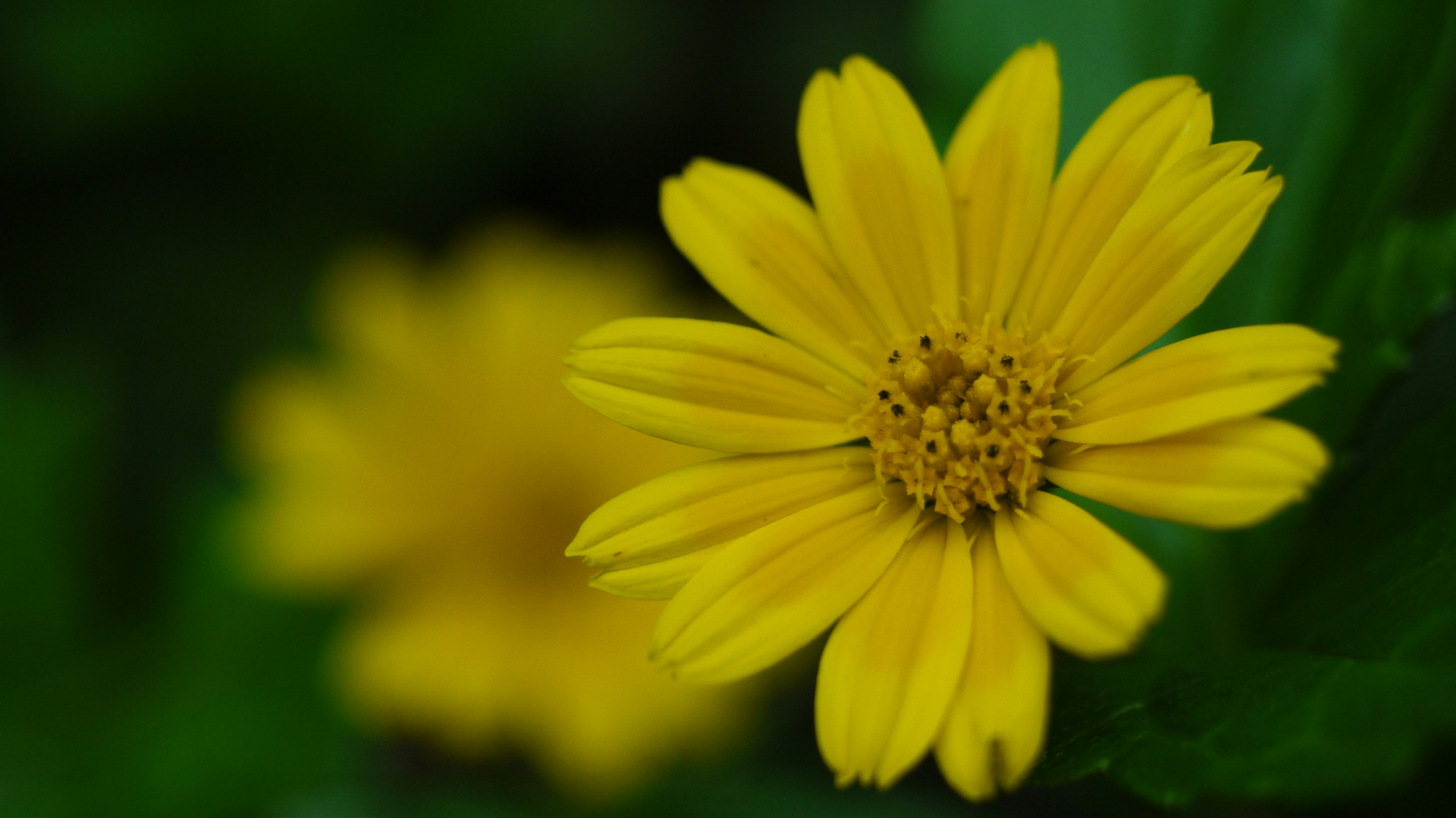 Free Unsplash photo from Michael J.Y. Sheu