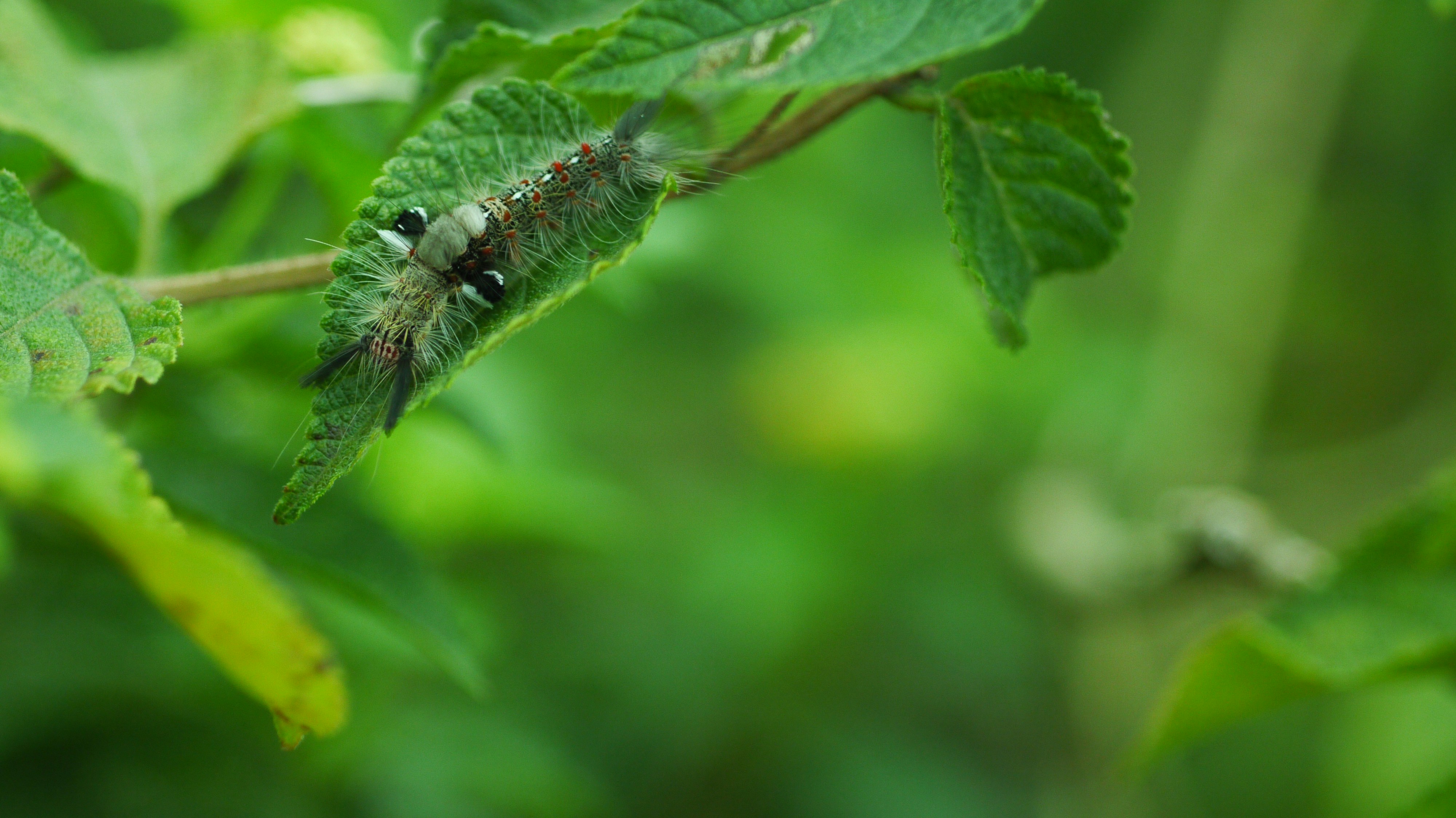 Free Unsplash photo from Michael J.Y. Sheu