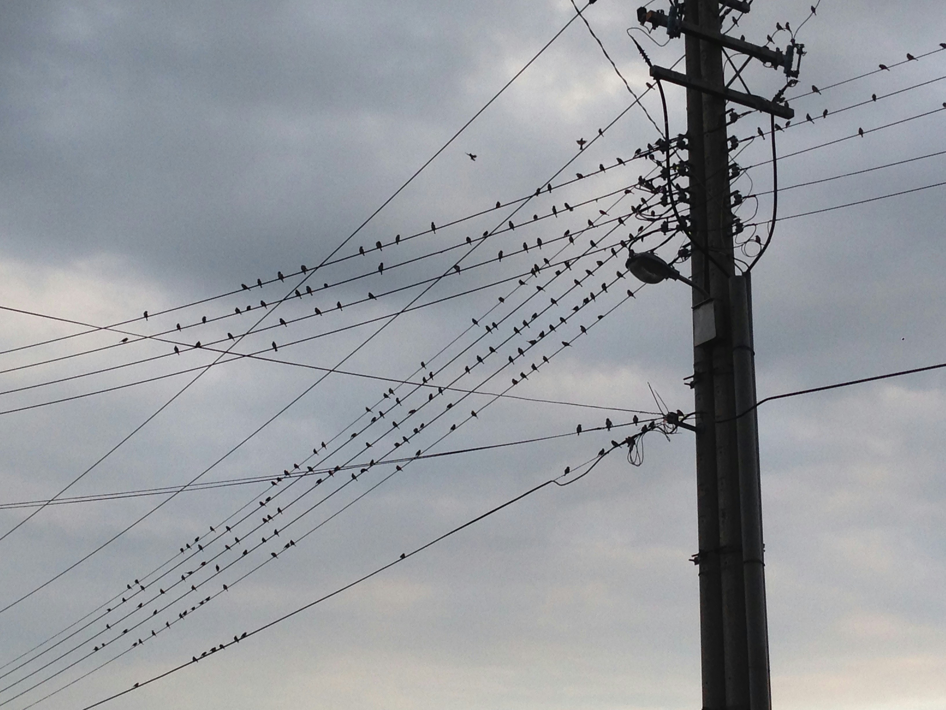 Free Unsplash photo from Morris Lin