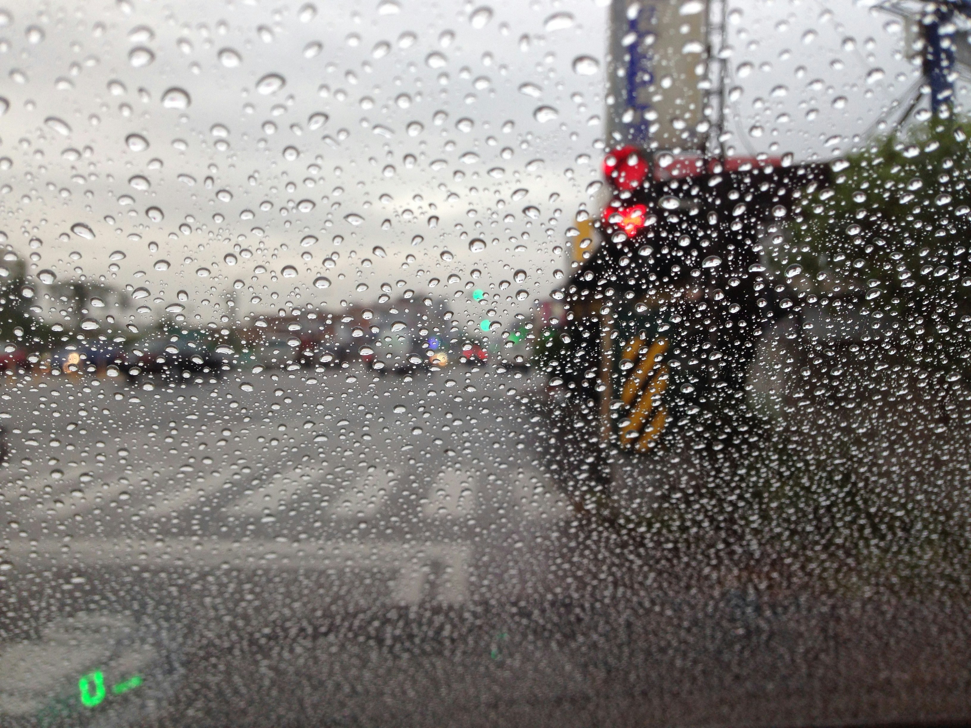 Free Unsplash photo from Morris Lin