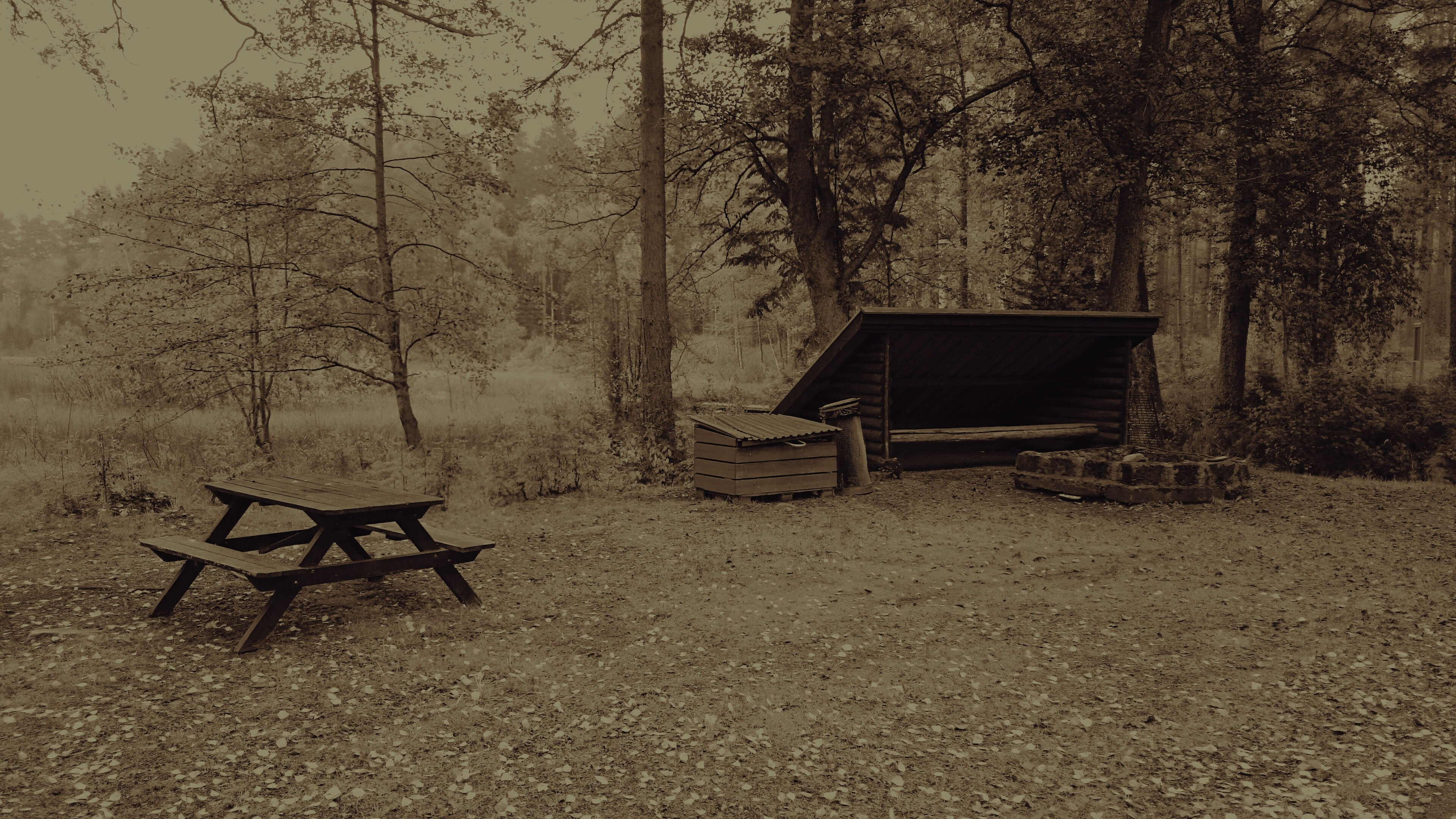 Free Unsplash photo from John Player