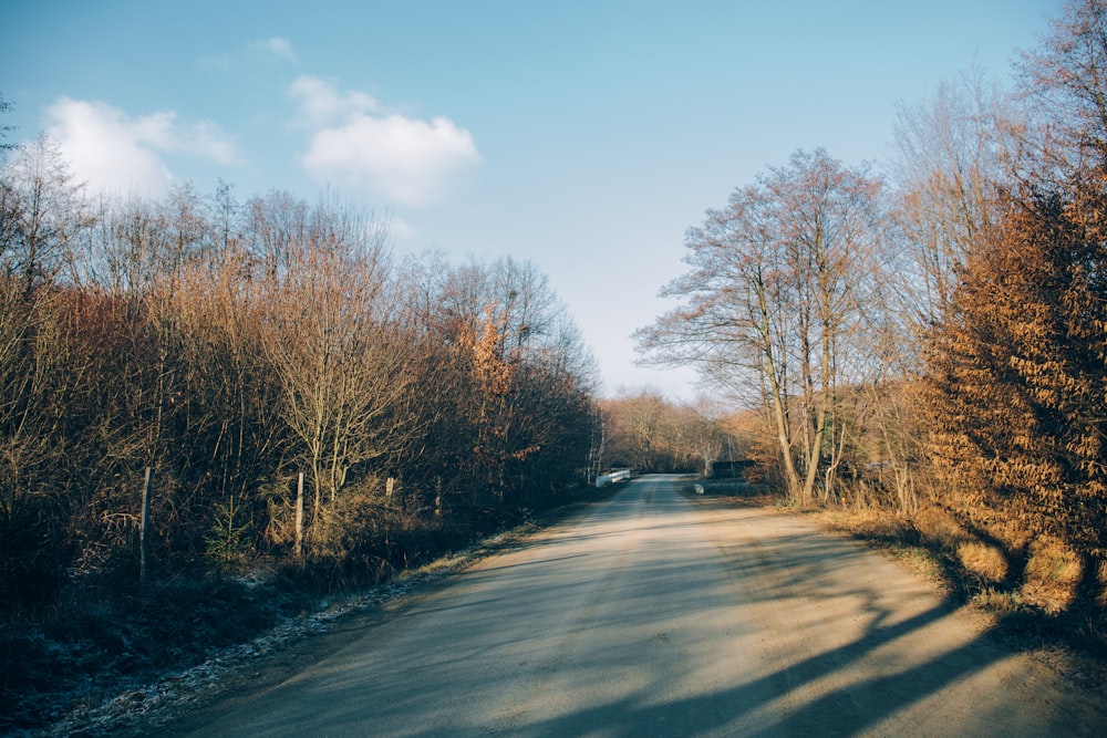 empty highway