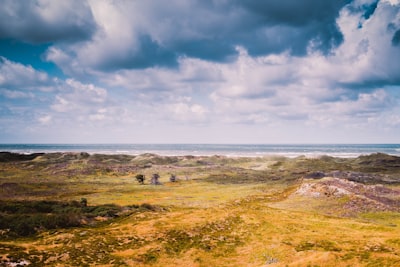 yellow and green grass covered plain under gray sky denmark zoom background