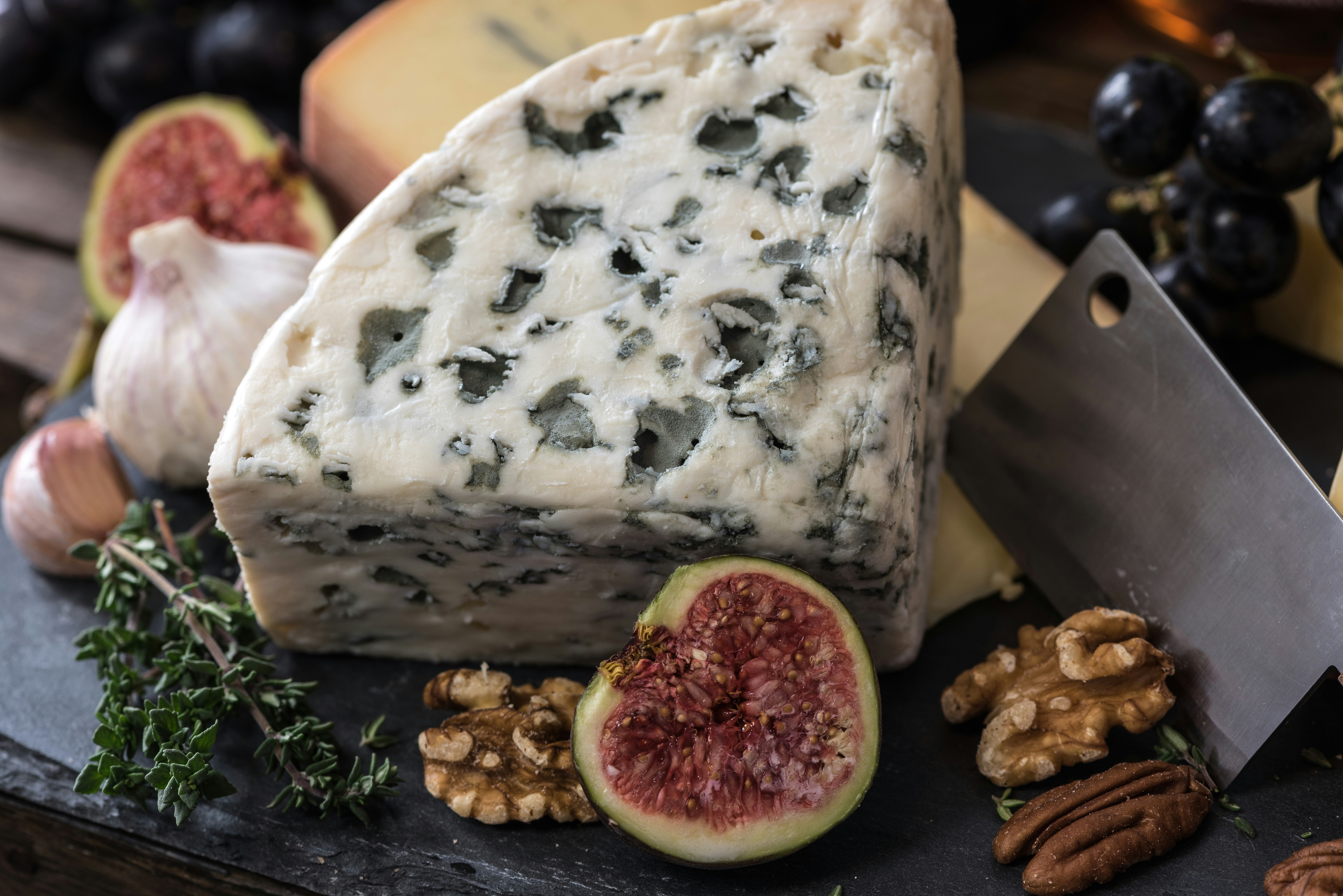 great photo recipe,how to photograph rustic cheese plate; bolognese cheese beside herbs