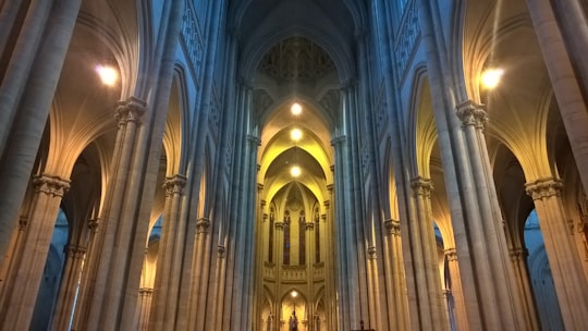 interior of concrete structure with pillars in Catedral de La Plata Argentina