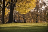 A peaceful park bench with a person reading a novel under autumn leaves.