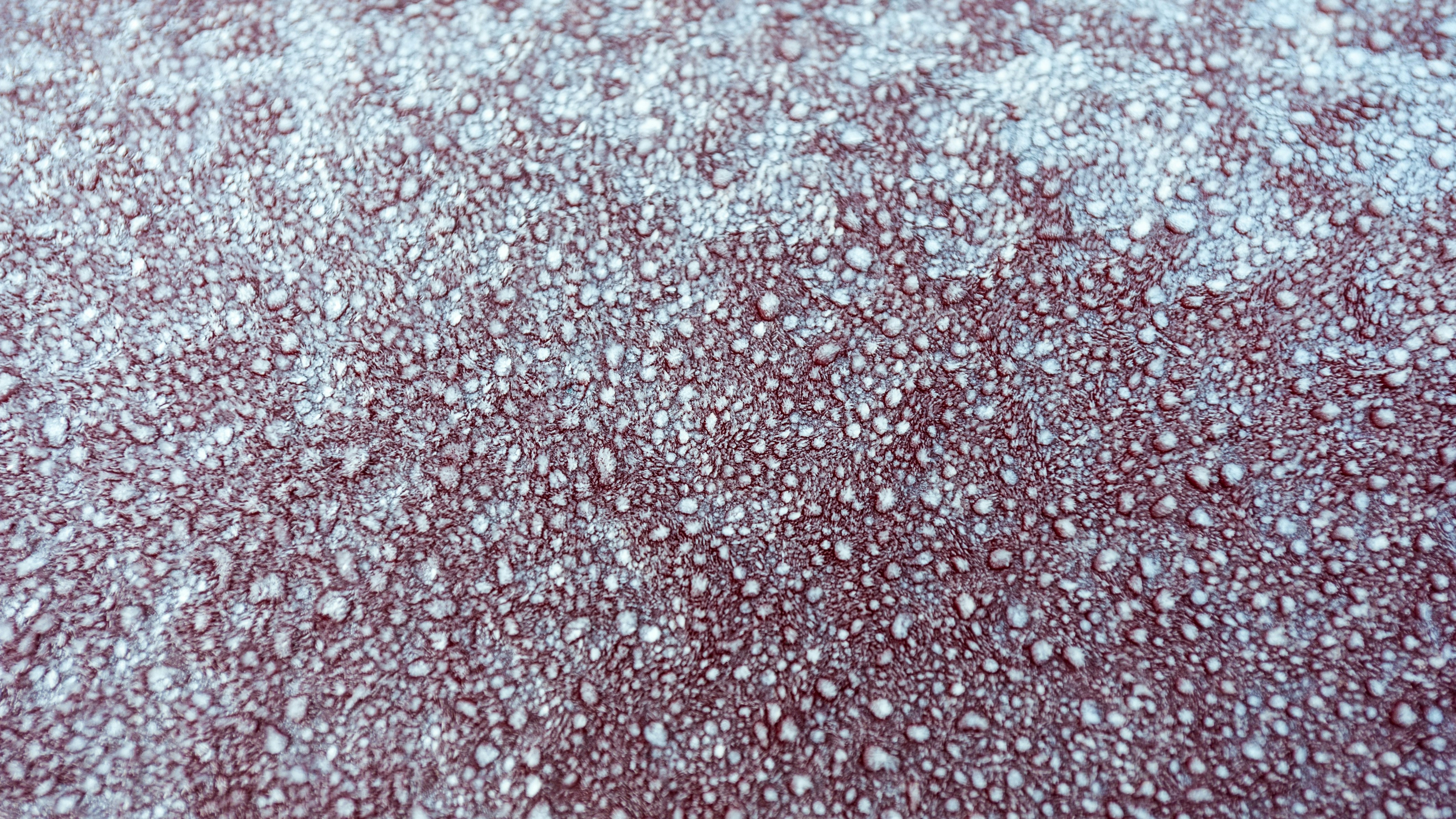 Photo By Sergei Akulich