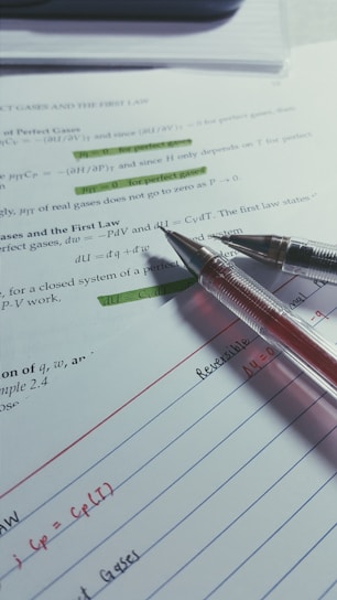 Close-up of savage productivity pages filled out with bright pen highlights