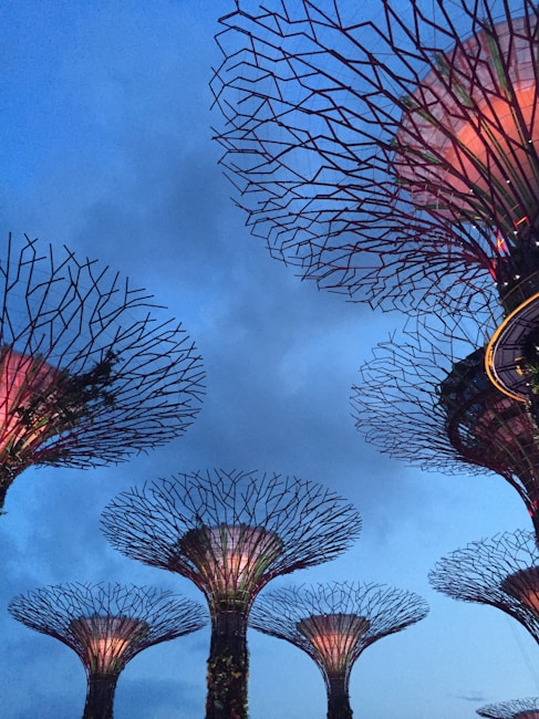 Several large, artificial tree-like structures with intricate lattice designs dominating the sky. They are illuminated with soft pink and purple lighting, contrasting against a dusky blue sky. The structures have a regal and futuristic appearance, giving an otherworldly feel to the scene.
