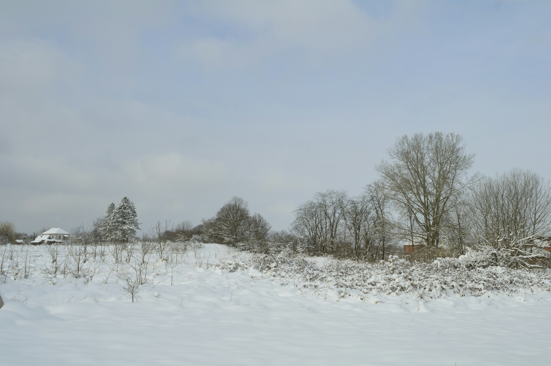 Free Unsplash photo from Sergey Bakhvalov