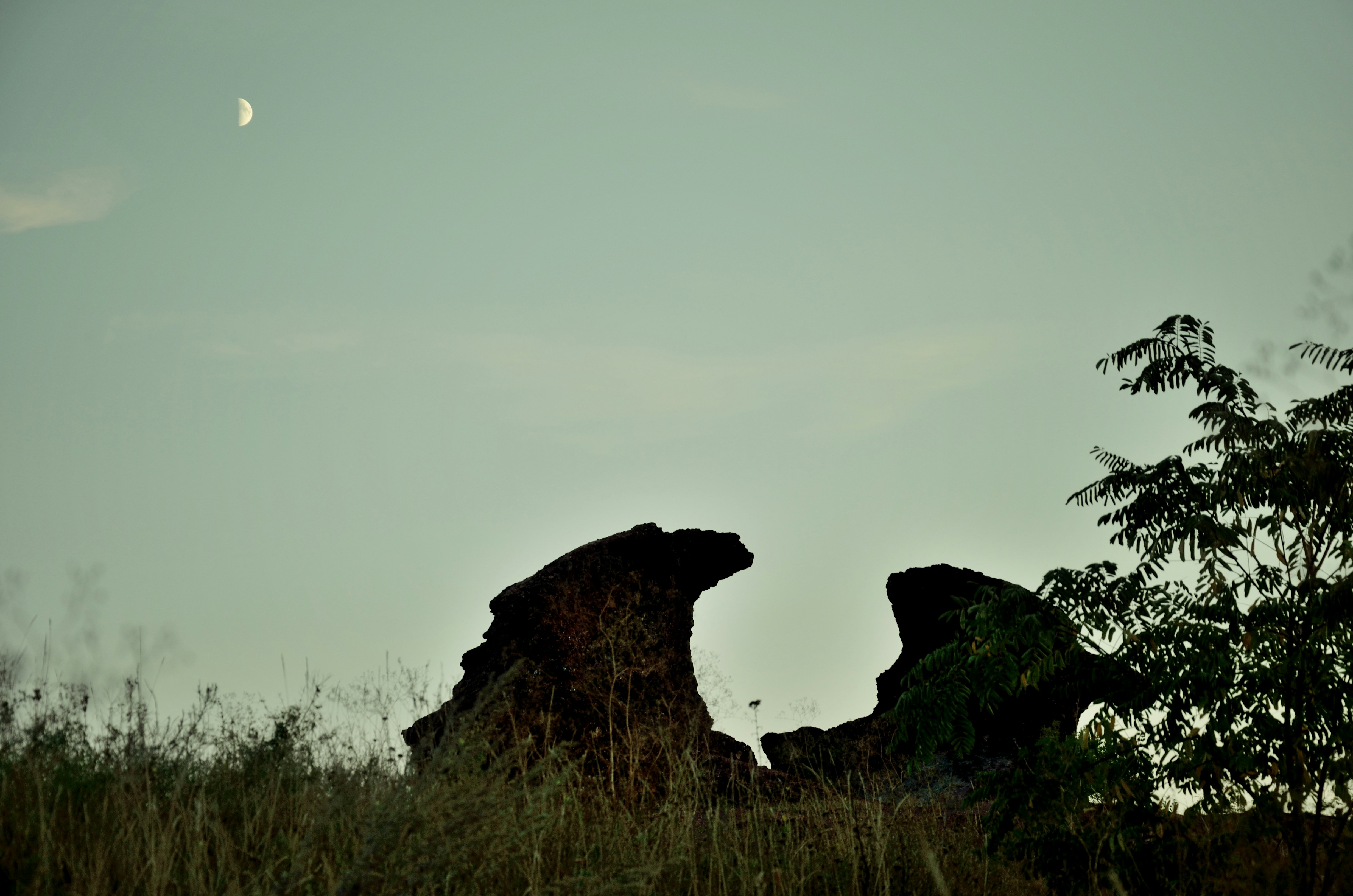 Free Unsplash photo from Sergey Bakhvalov