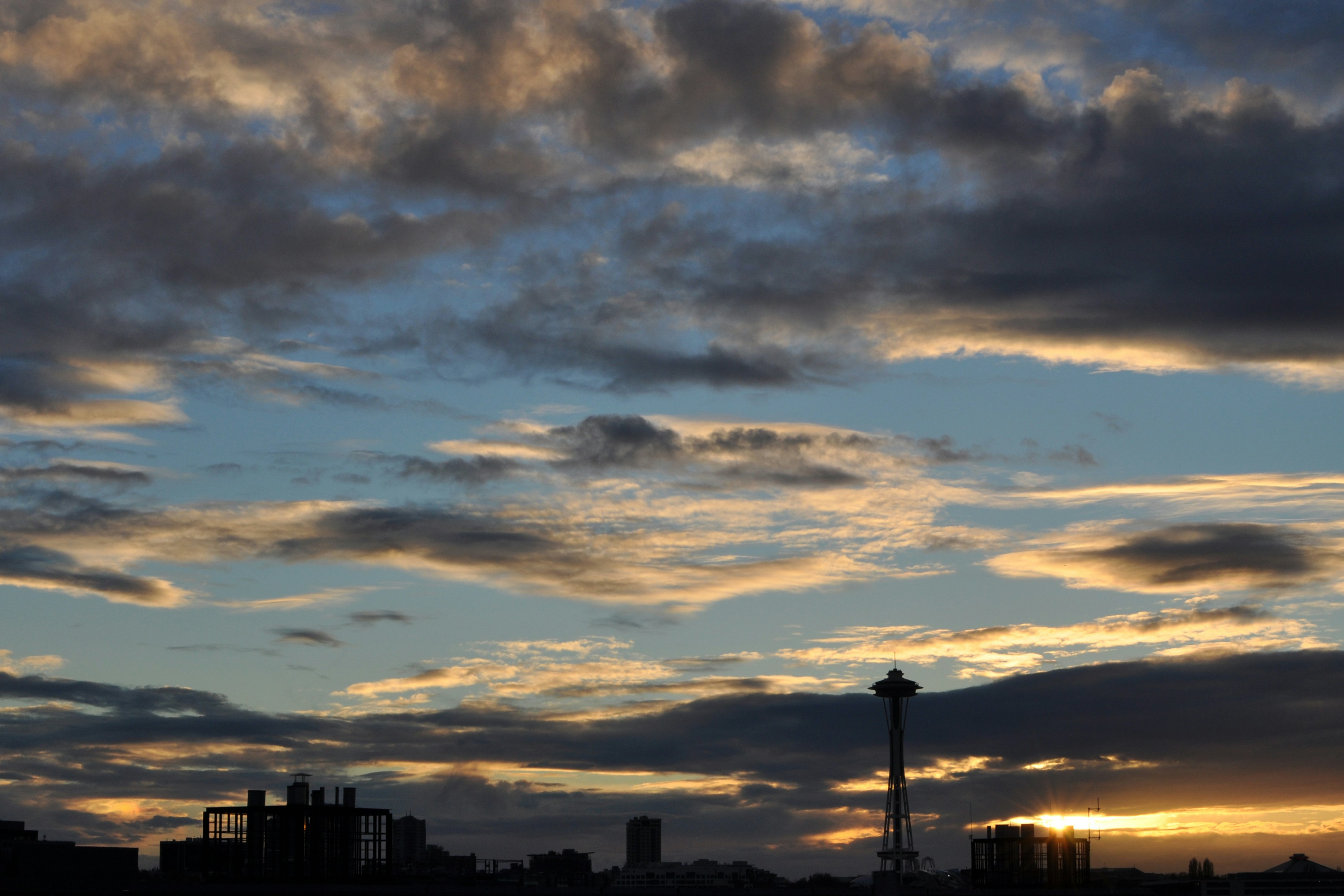 Free Unsplash photo from Adam Willoughby-Knox