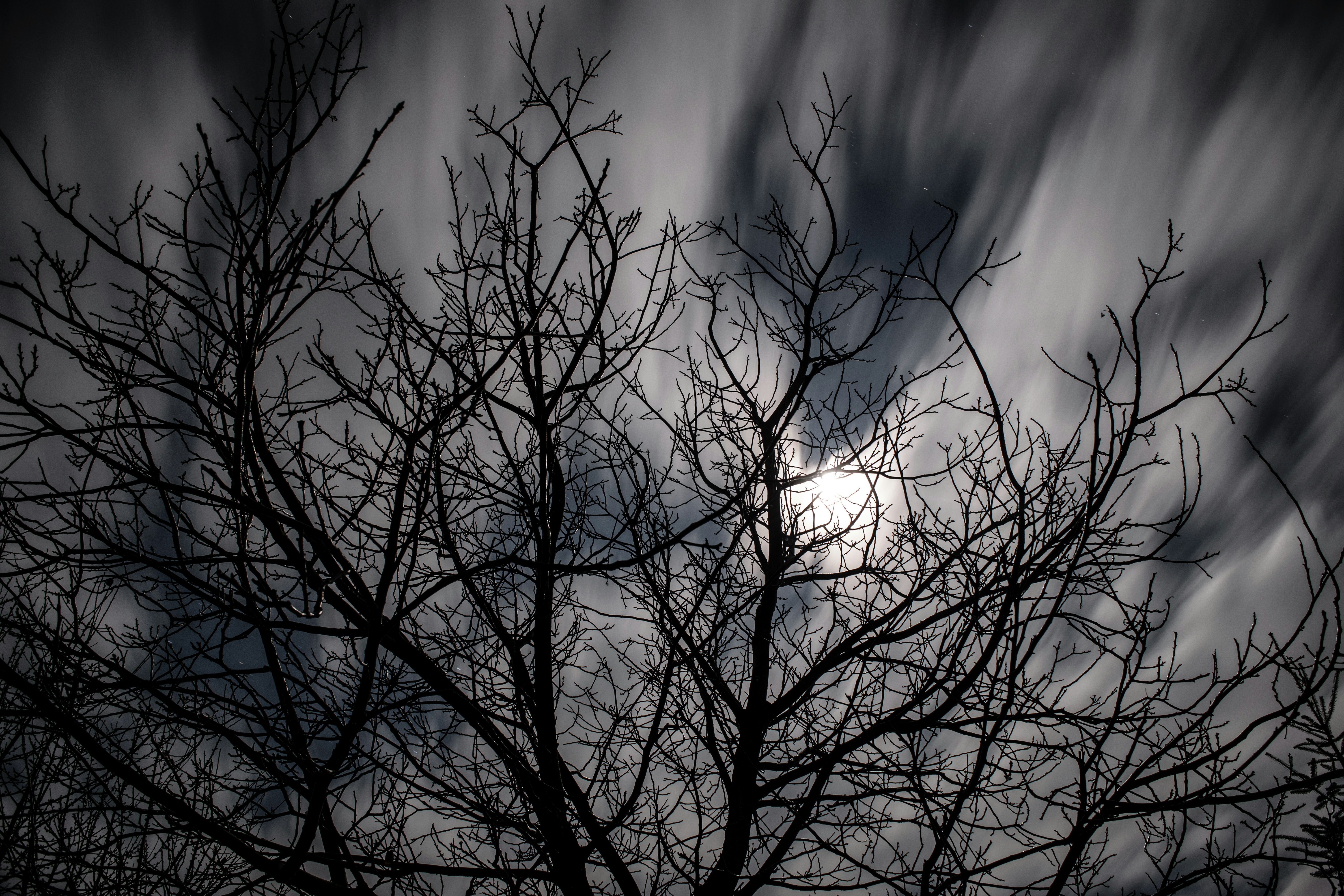 Free Unsplash photo from Renátó Horváth