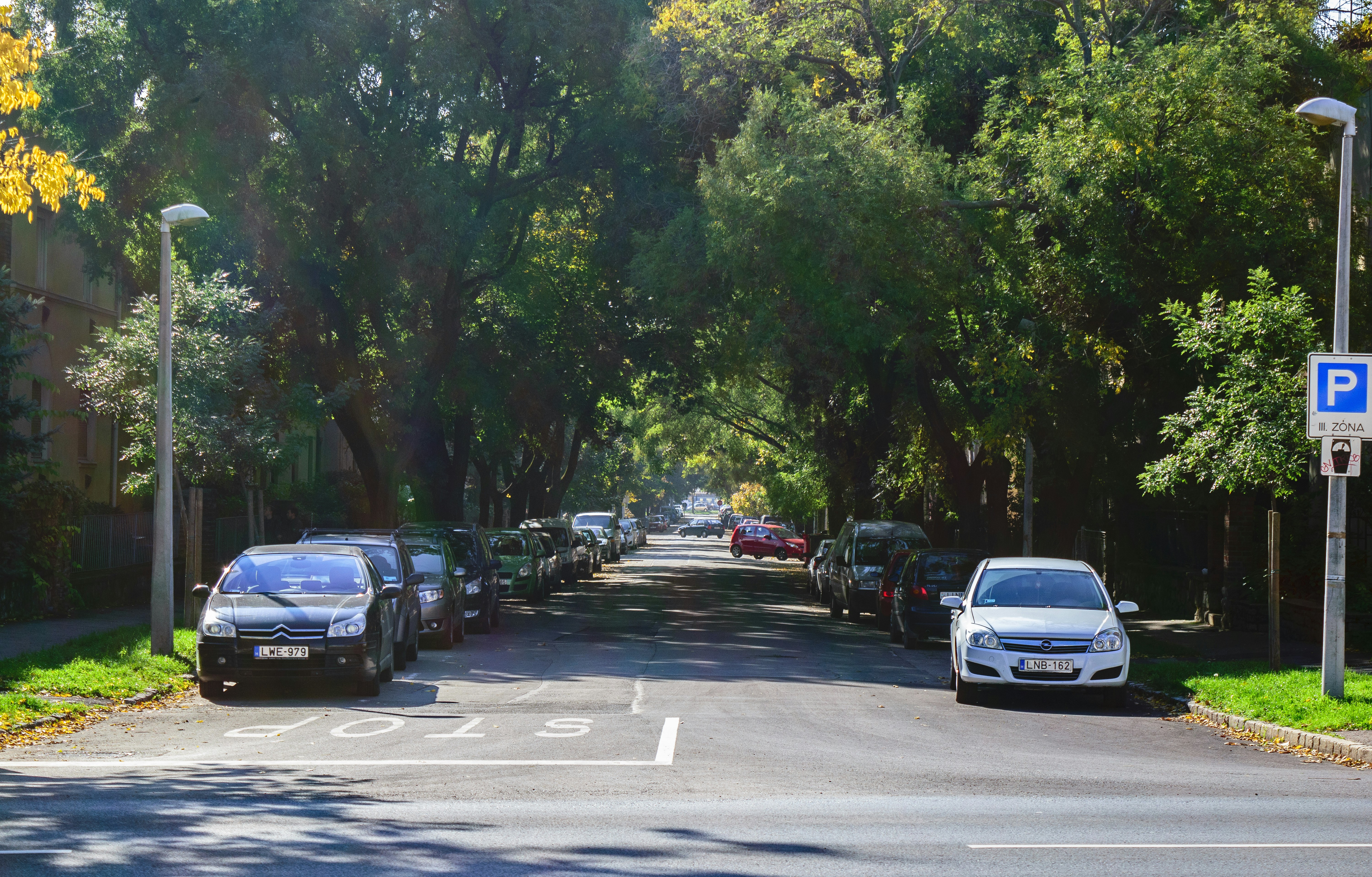 Free Unsplash photo from Renátó Horváth