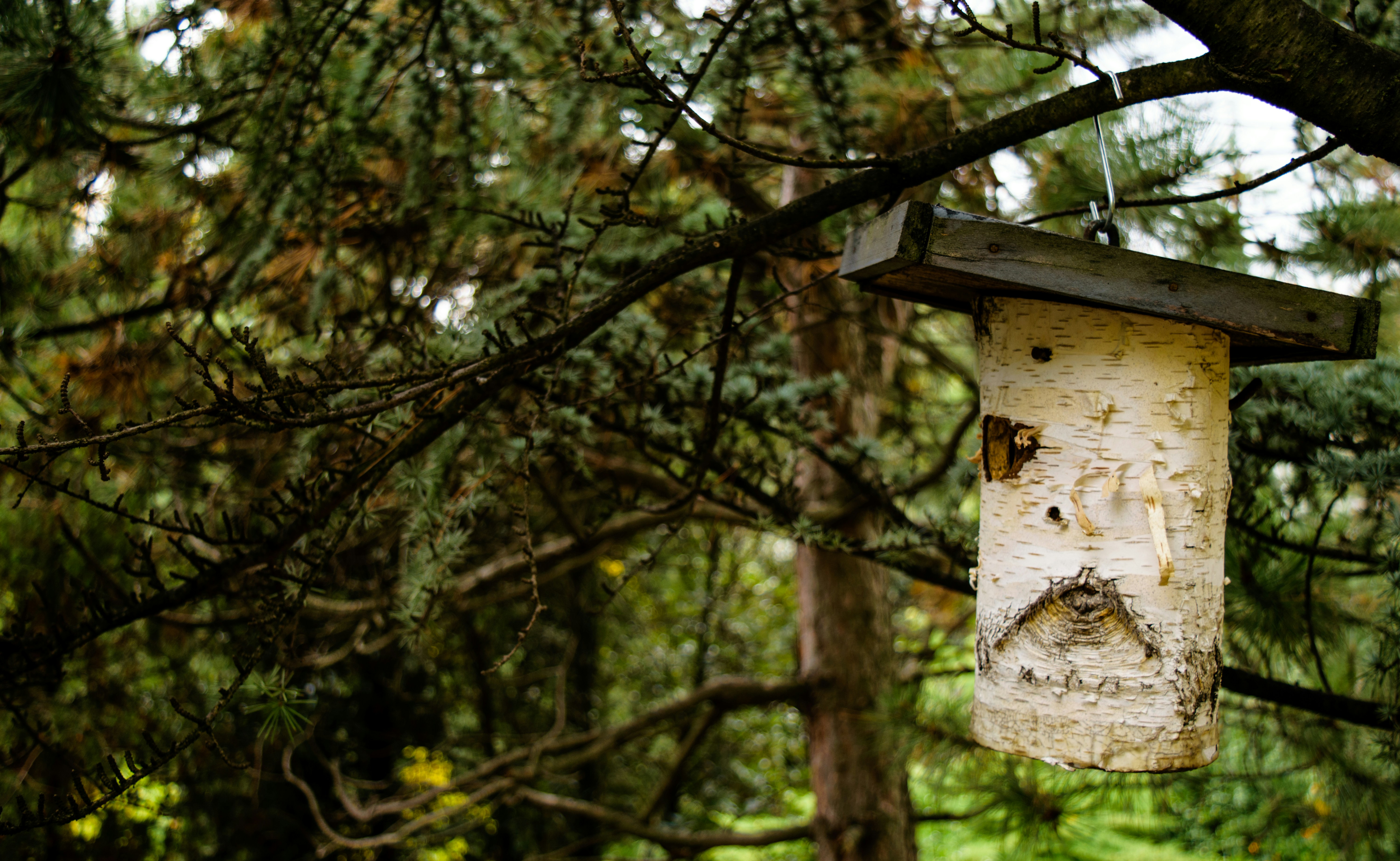 Free Unsplash photo from Renátó Horváth