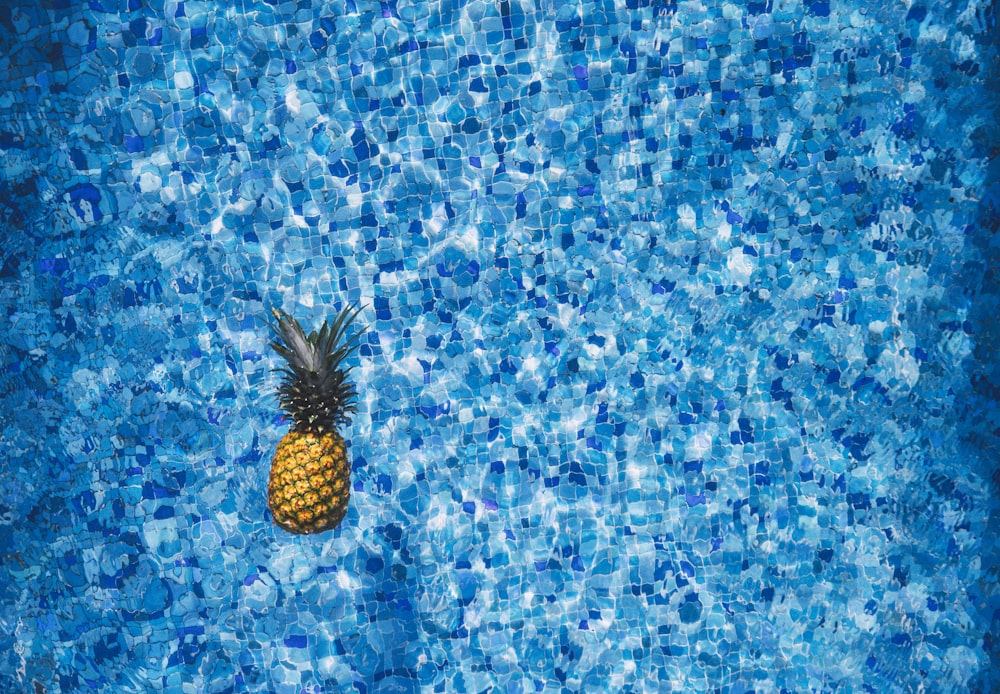 Fotografía de vista aérea de piña en el cuerpo de agua