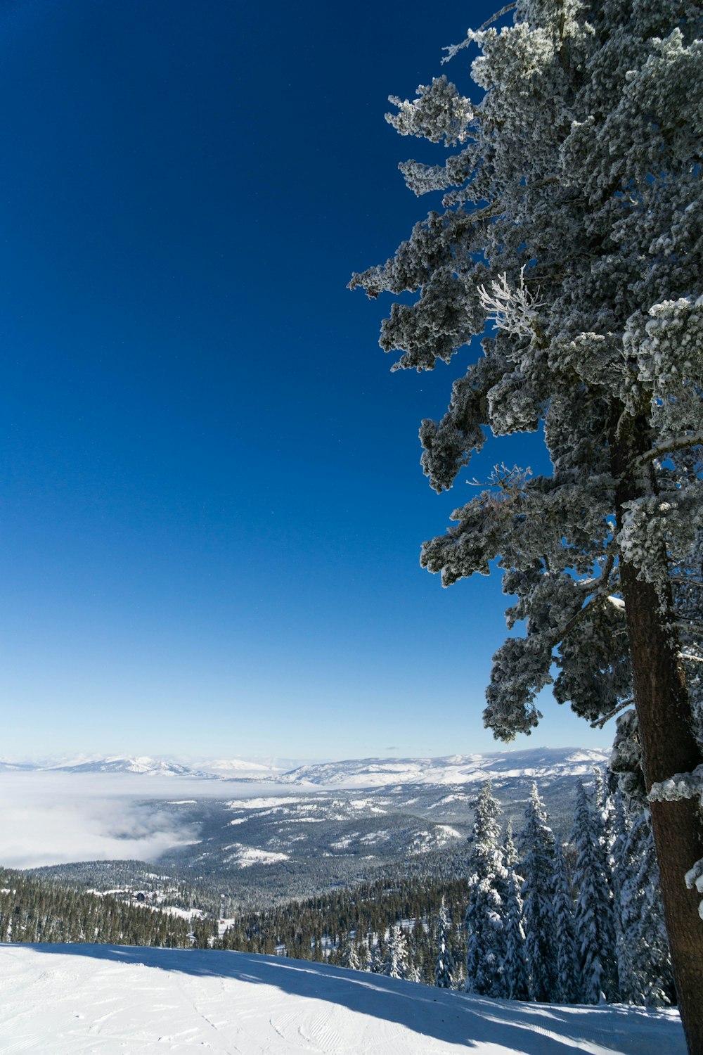 a person riding skis on top of a snow covered slope