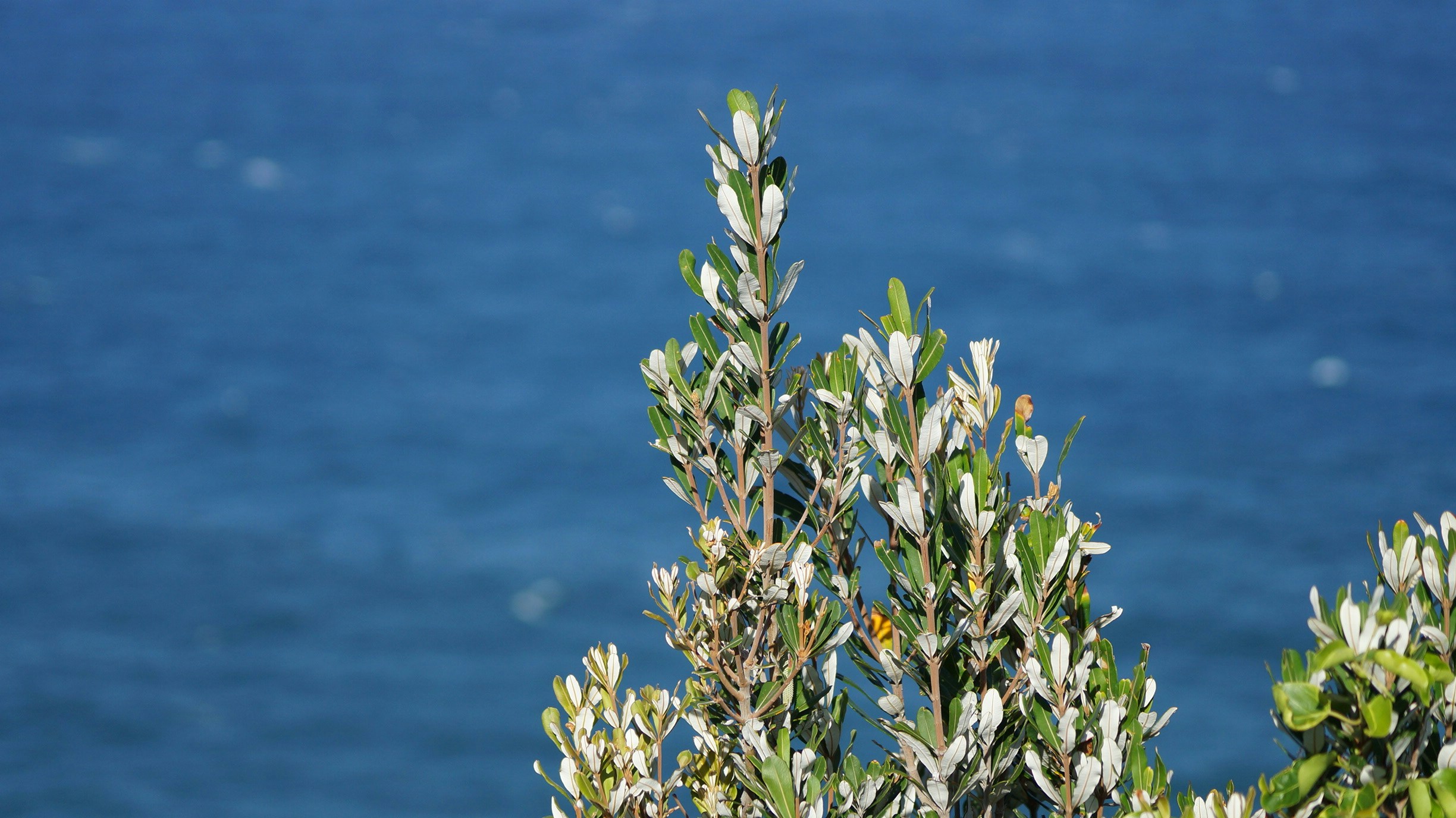 Free Unsplash photo from Town Santhadthan