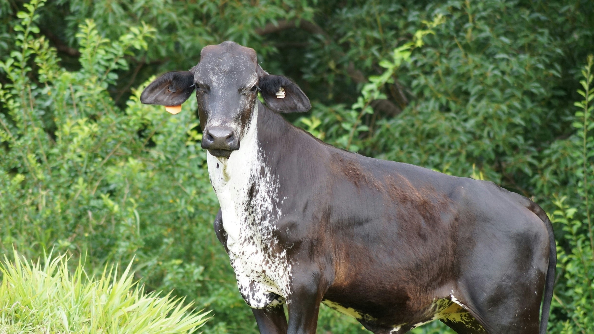 Free Unsplash photo from Town Santhadthan