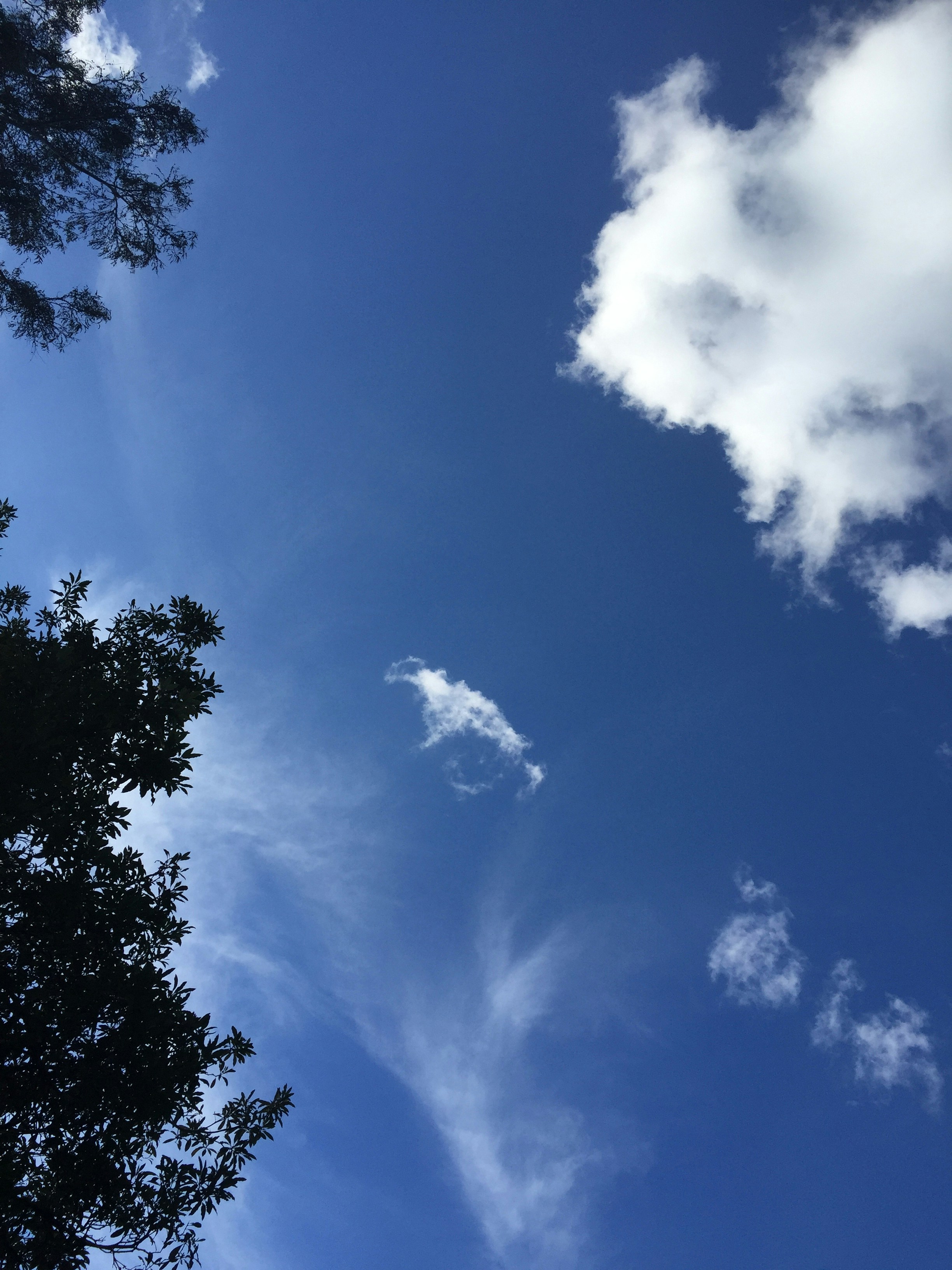 Free Unsplash photo from Mauricio Cardenas