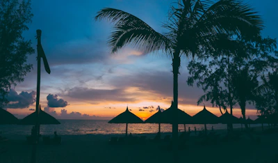 Sunset view over the calm sea with silhouettes of tents and palm trees.
