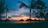A vibrant sunset over a calm beach on Barú Peninsula with palm trees silhouetted.