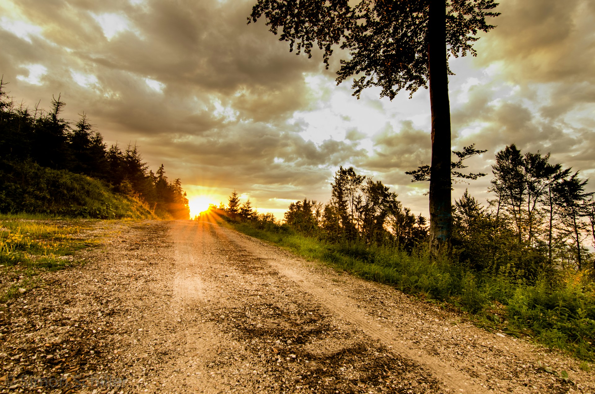 woman wearing yellow long-sleeved dress under white clouds and blue sky during daytime