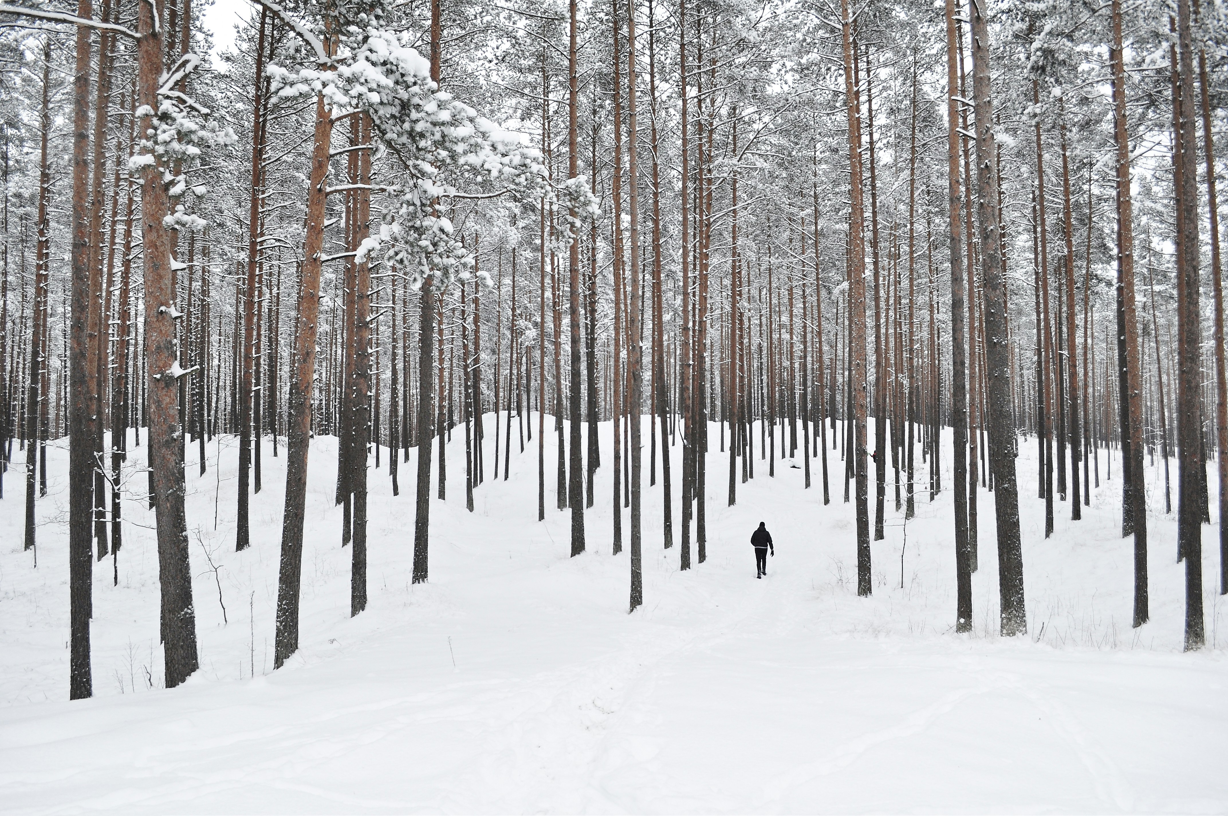 person walking on field of snow