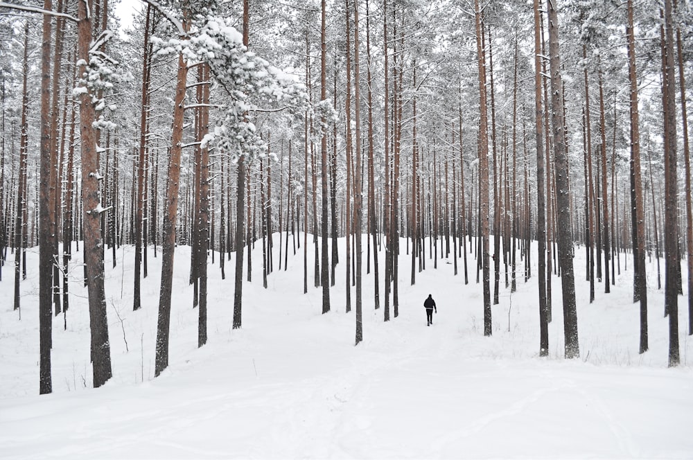 pessoa andando no campo de neve