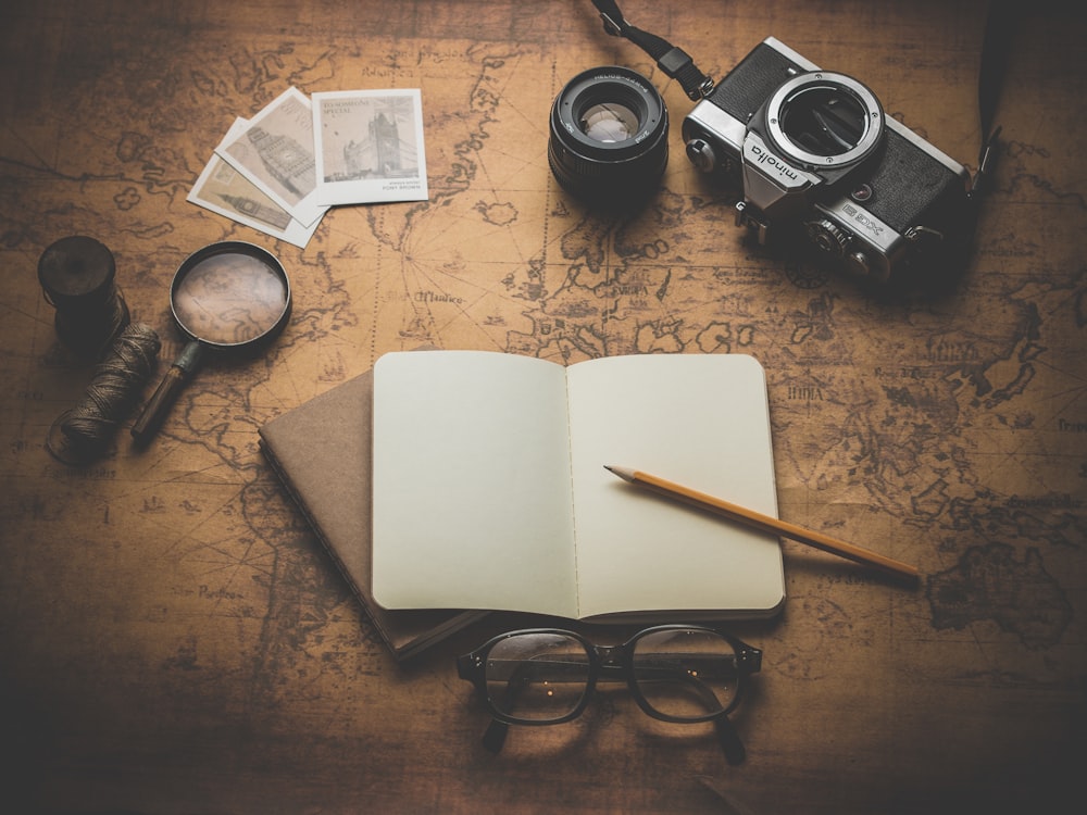 Traveller with journal