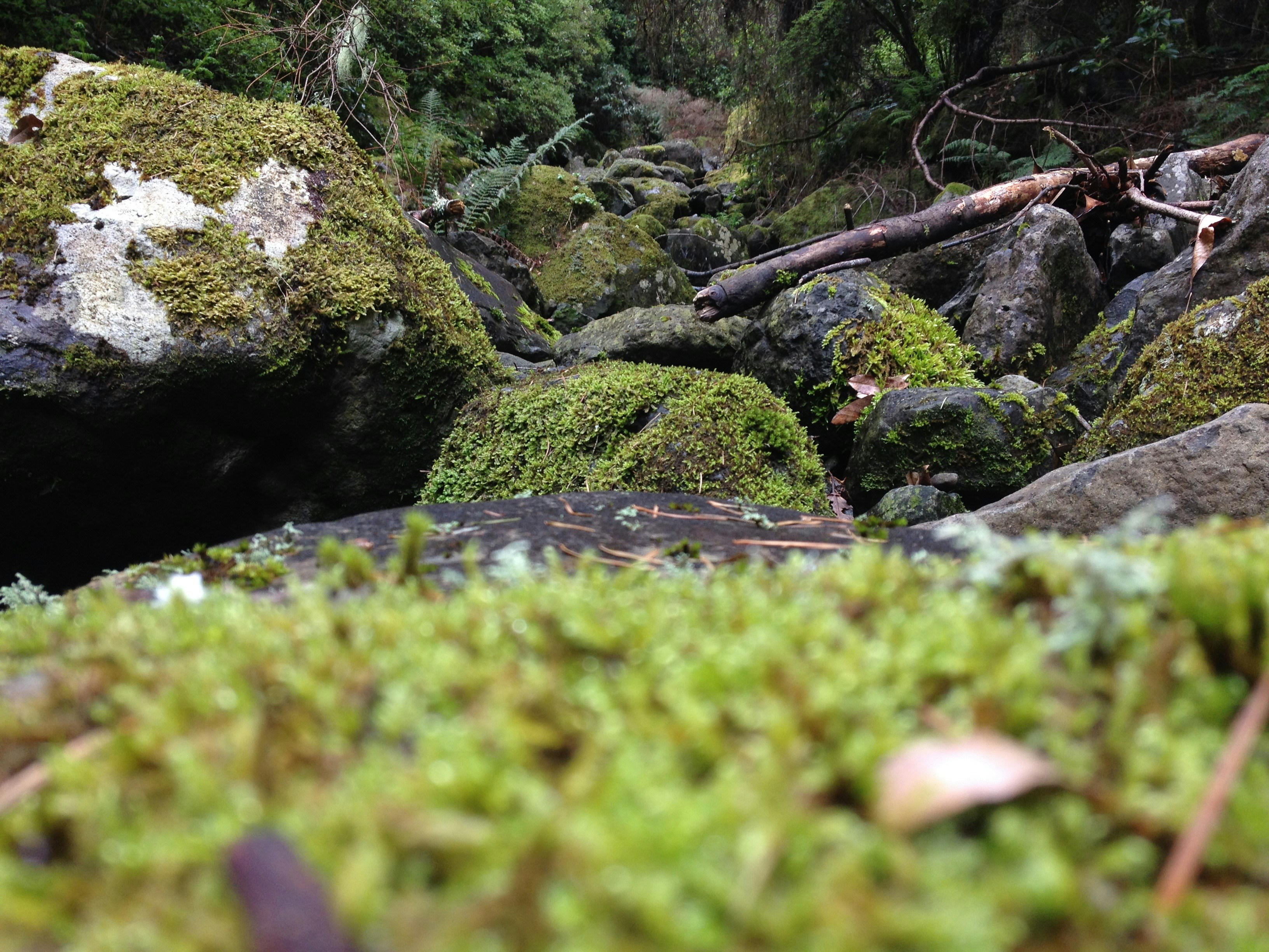 Free Unsplash photo from Dinarte Jesus