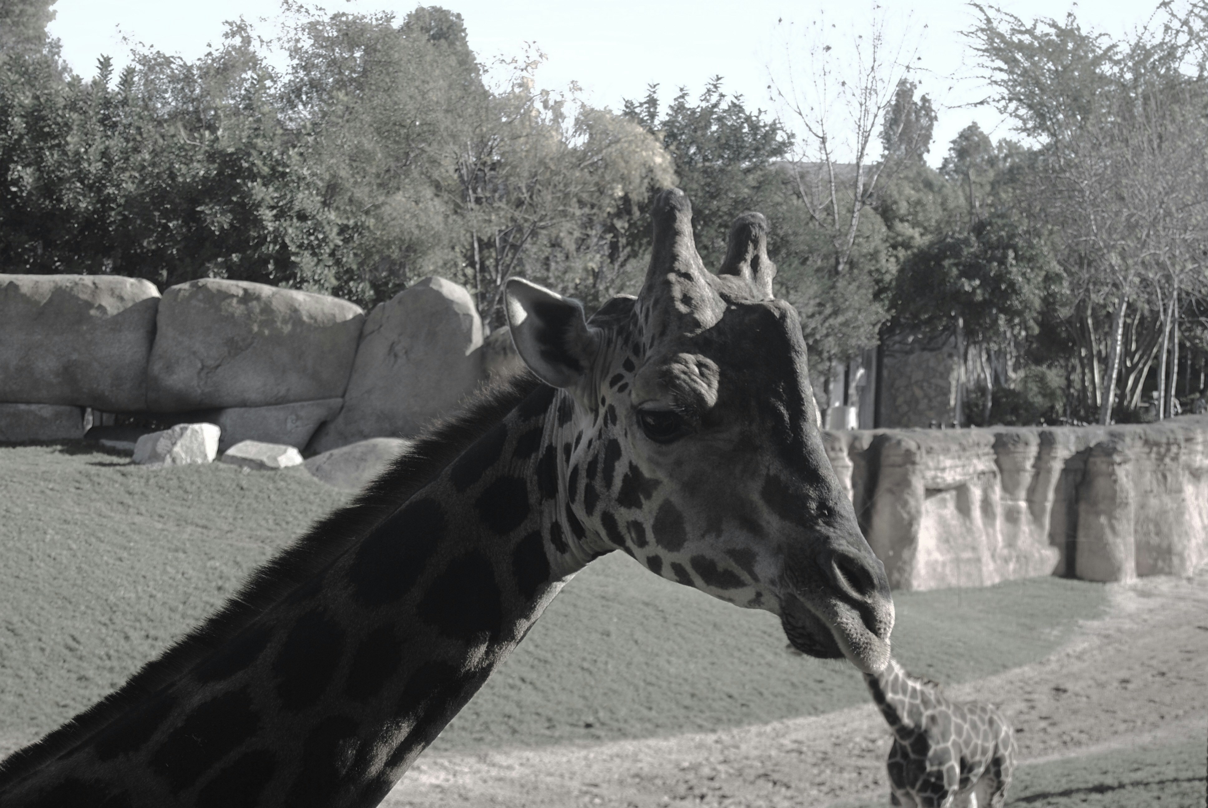 Free Unsplash photo from Camilla Frøland