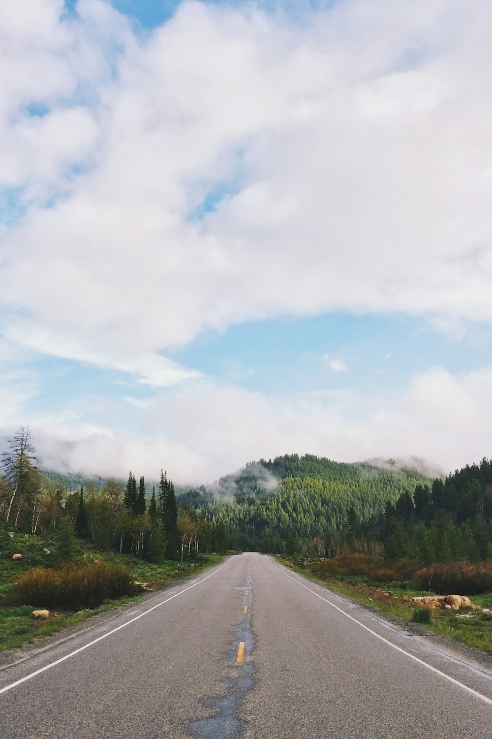 brown concrete road surrounded with trees under cloudy sky during daytime