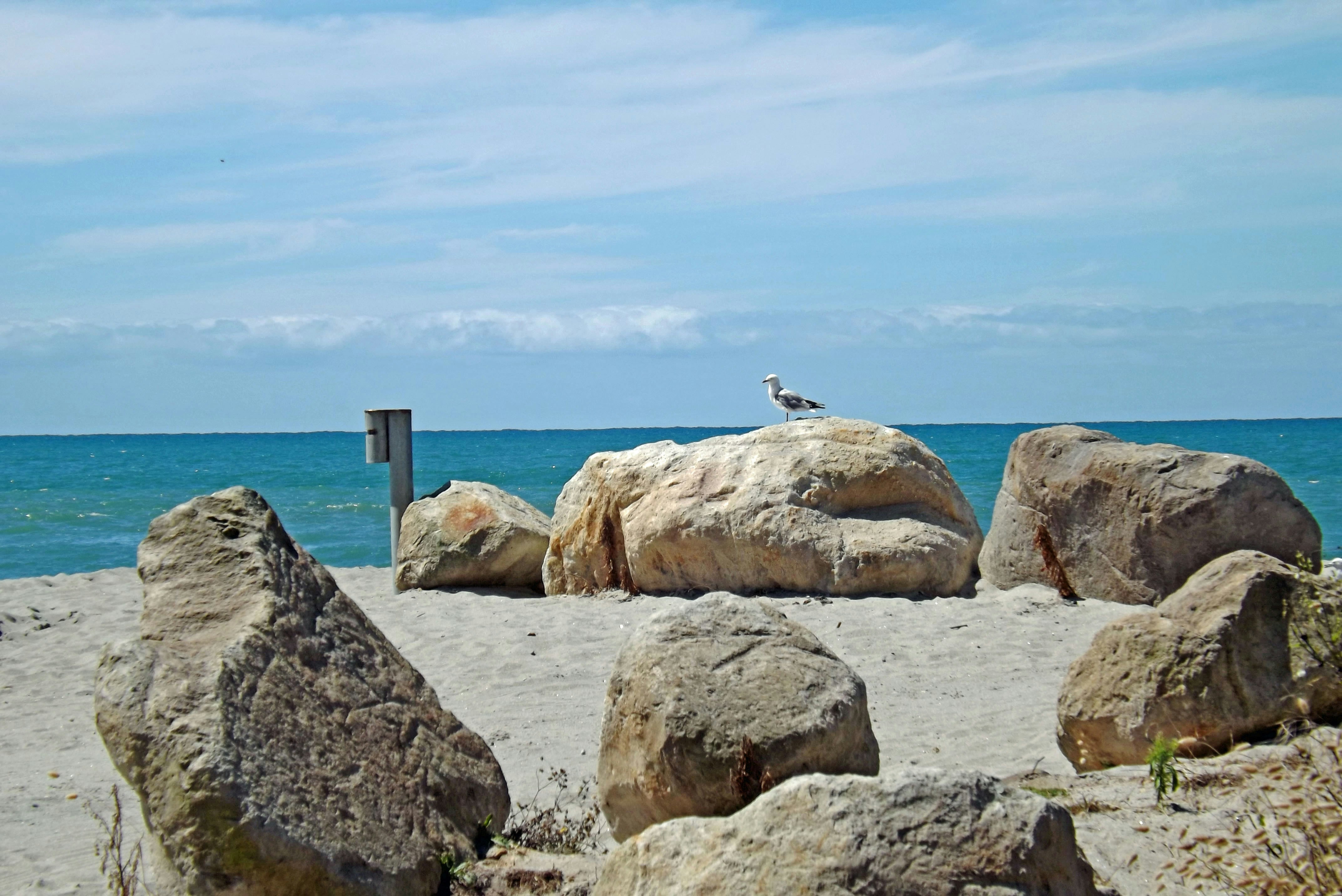 Free Unsplash photo from Maureen Sudlow