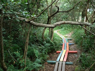 A vibrant path through a forest, symbolizing the journey of habit and growth