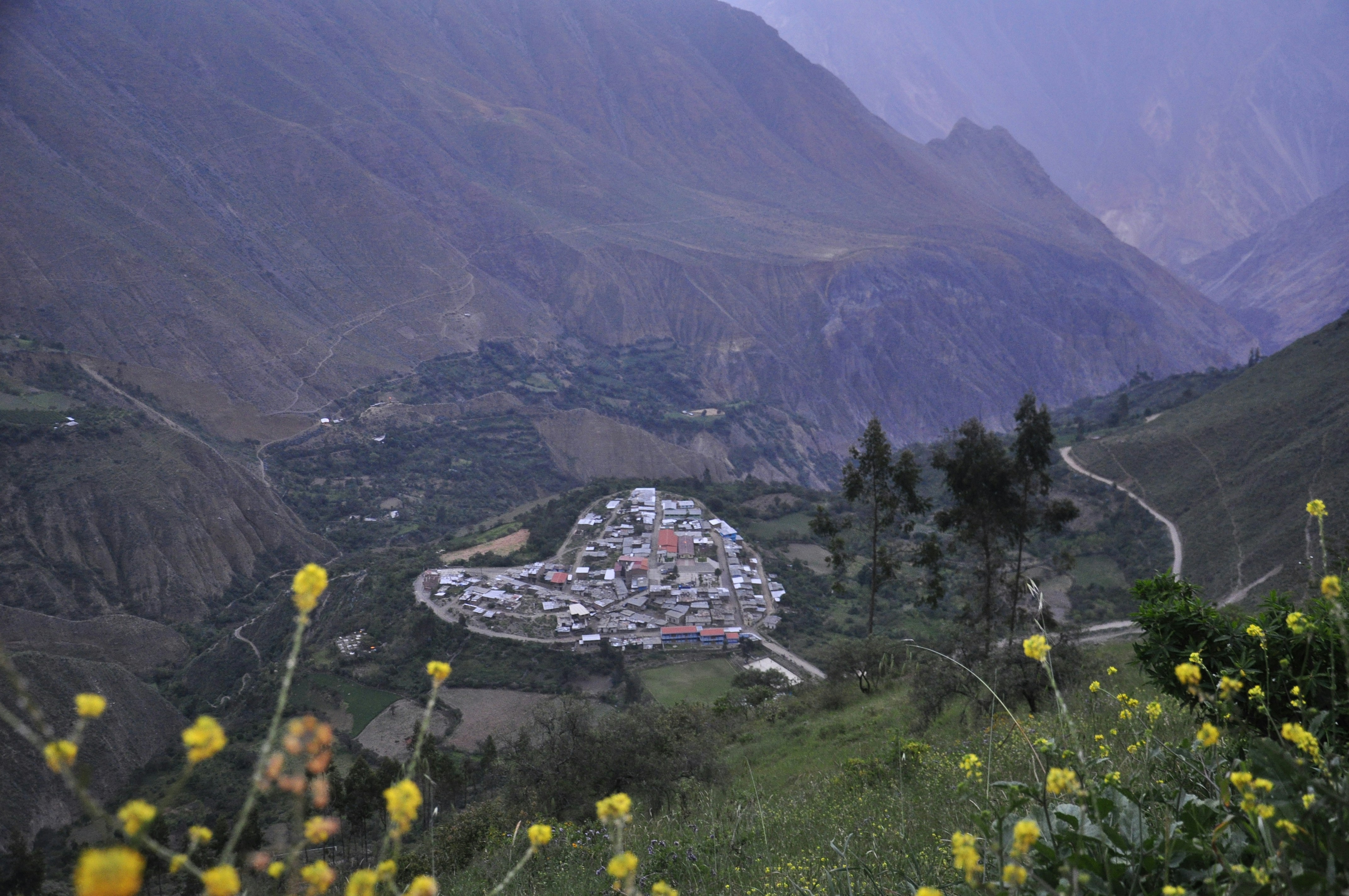 Free Unsplash photo from Leo Montesinos