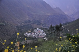A small village is nestled within a lush, mountainous landscape. The village consists of tightly clustered buildings surrounded by vibrant green vegetation. Yellow wildflowers in the foreground add a natural frame to the scene. Winding roads are visible, leading through the mountainous terrain.