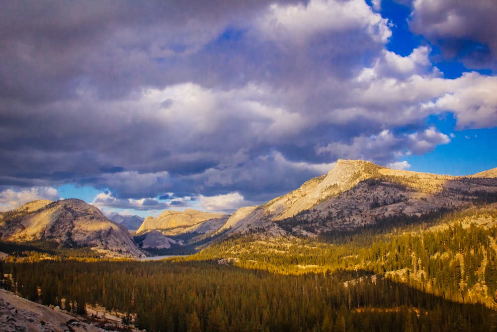 mountains and trees under blue and white sky at daytime photography