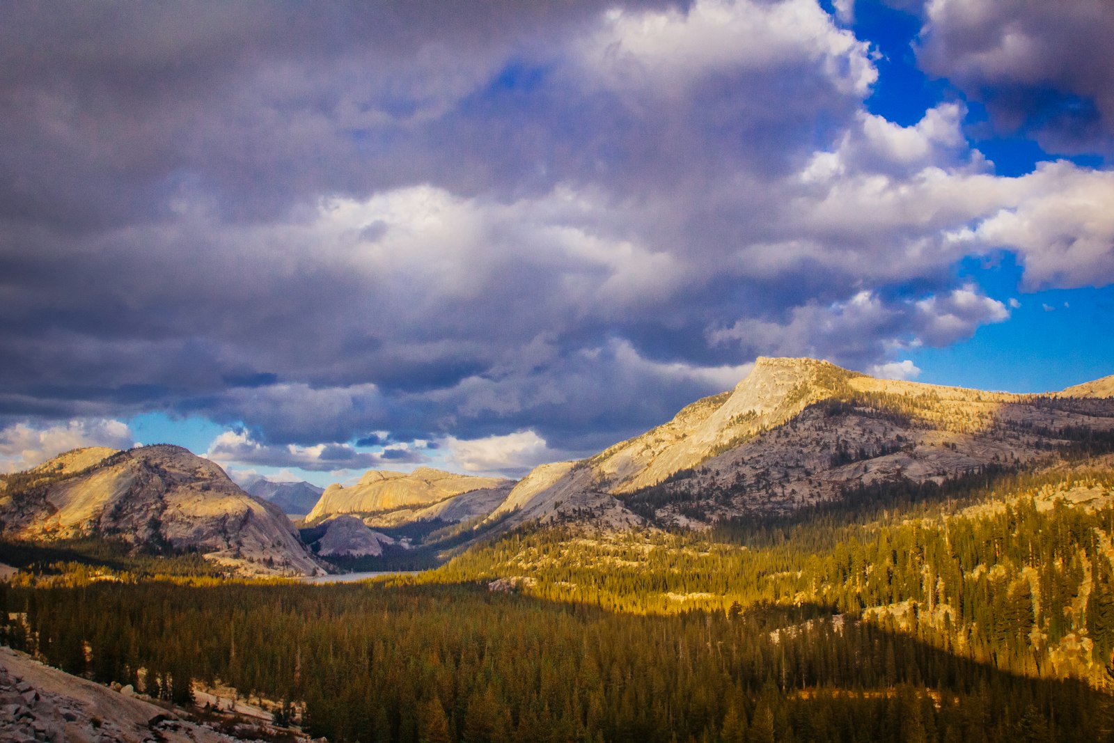 Canon EOS 60D + Canon EF 24-105mm F4L IS USM sample photo. Mountains and trees under photography