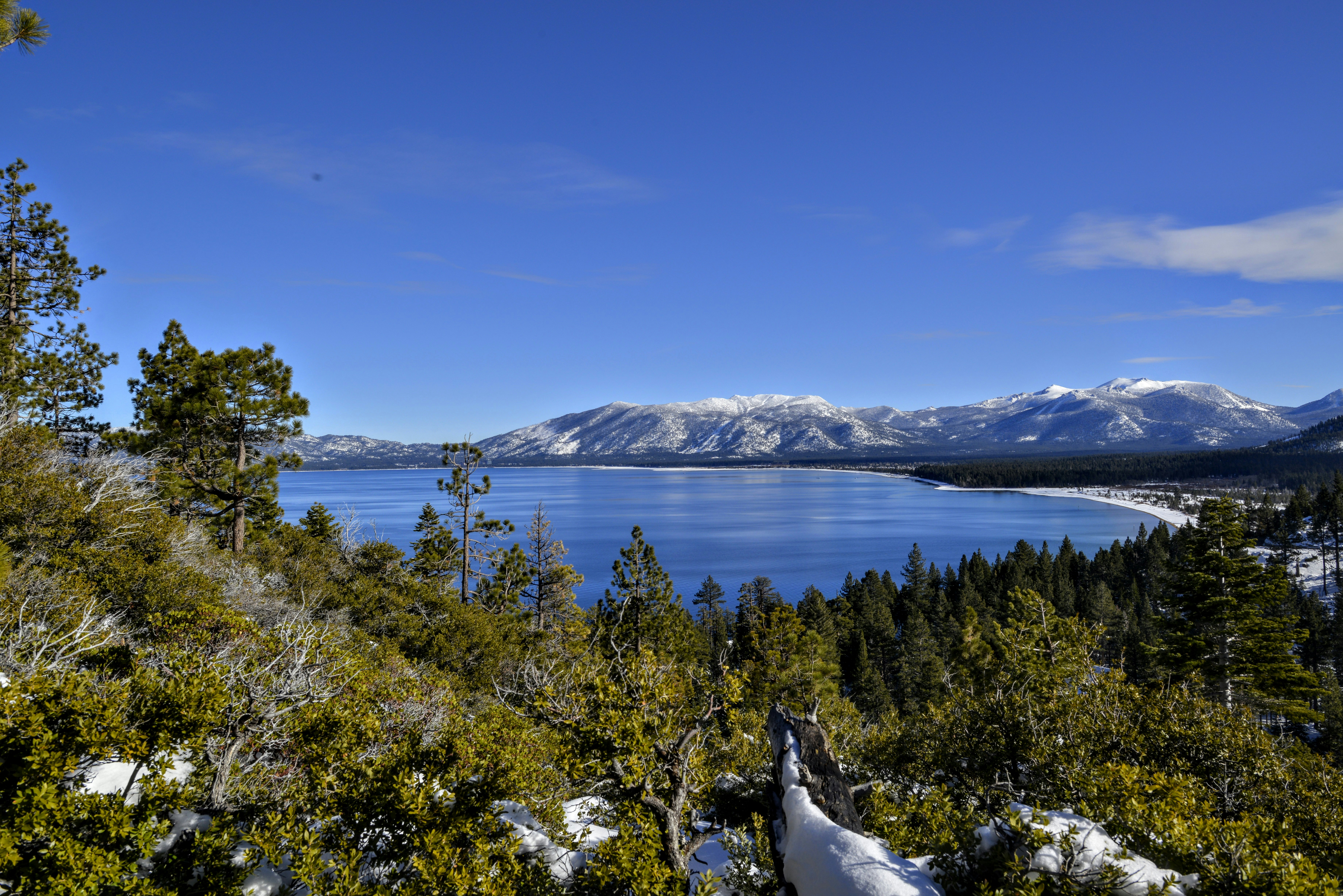 Free Unsplash photo from Michael Tokuyama