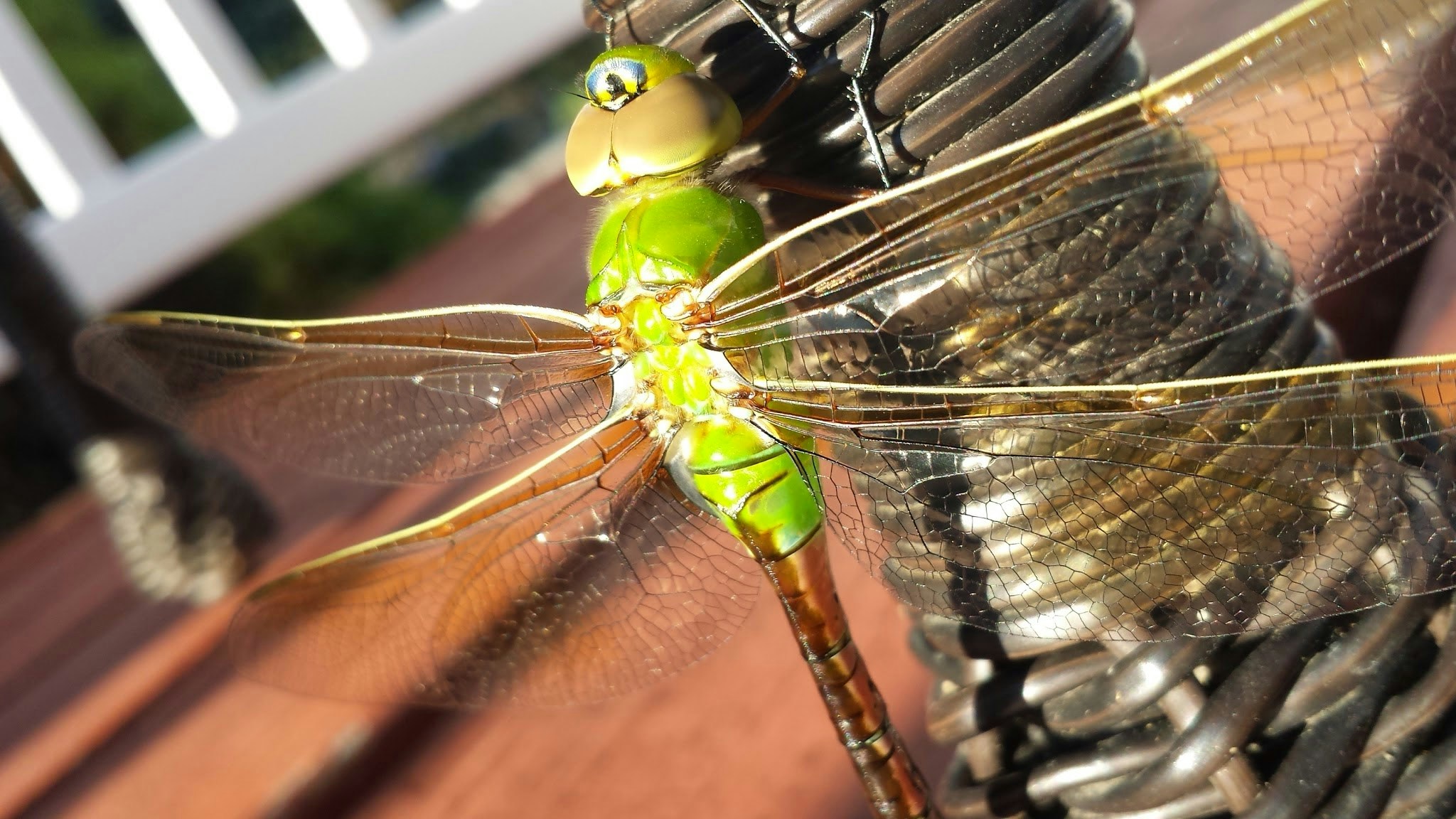 Free Unsplash photo from Eric Bauer