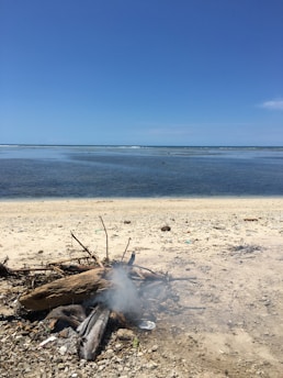A serene beach scene with a small campfire burning on the sandy shore. Smoke is rising from the fire, and the beach is scattered with driftwood and debris. The calm, clear ocean stretches to the horizon, meeting a bright blue sky.