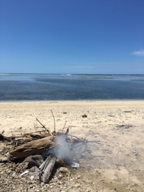 A serene beach scene with a small campfire burning on the sandy shore. Smoke is rising from the fire, and the beach is scattered with driftwood and debris. The calm, clear ocean stretches to the horizon, meeting a bright blue sky.