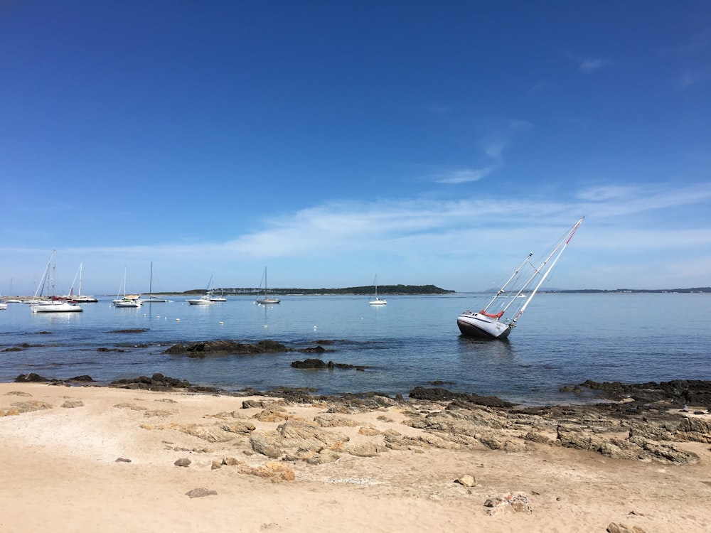 white boat on sea at daytime