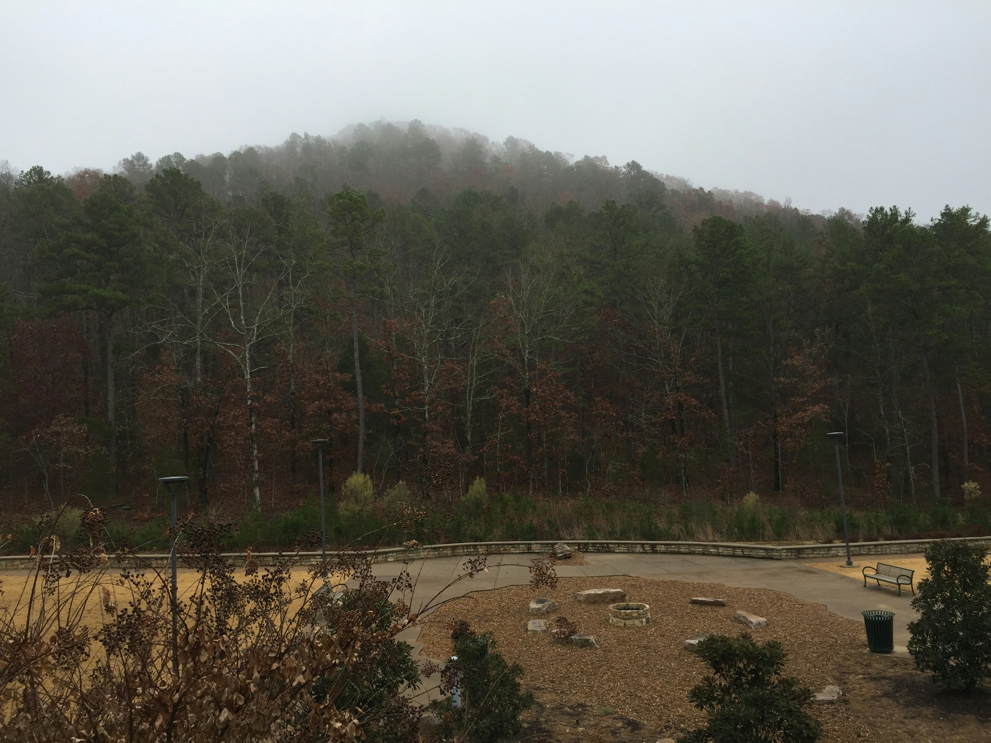 Free Unsplash photo from Mazen Alkhamis