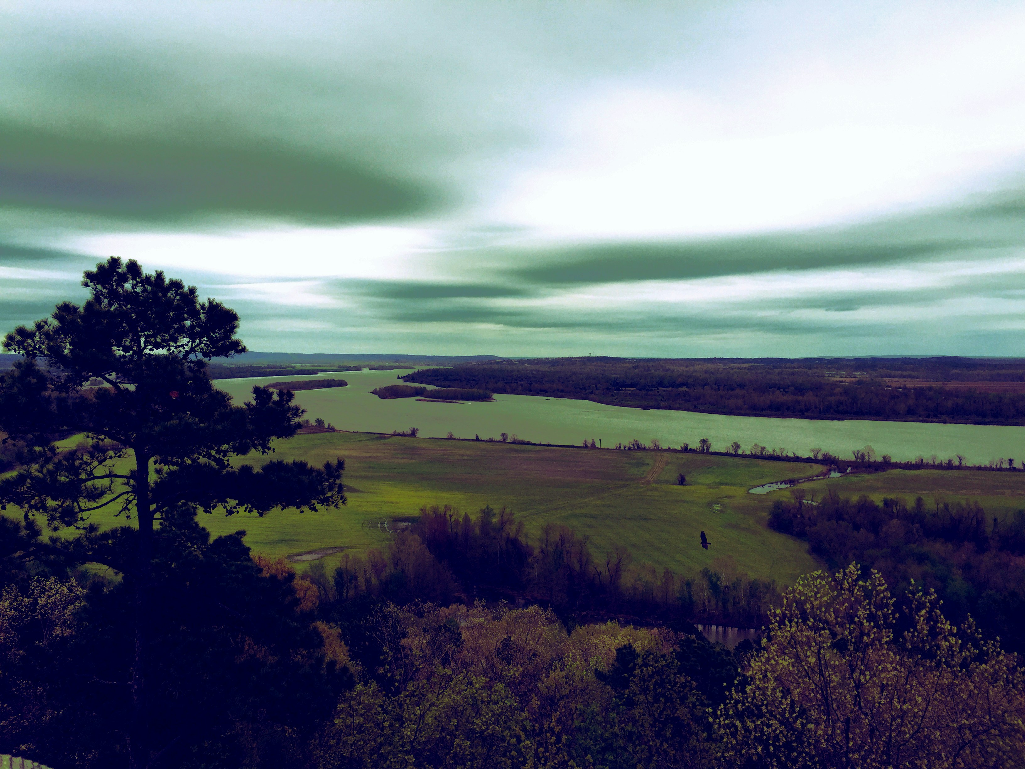 Free Unsplash photo from Mazen Alkhamis