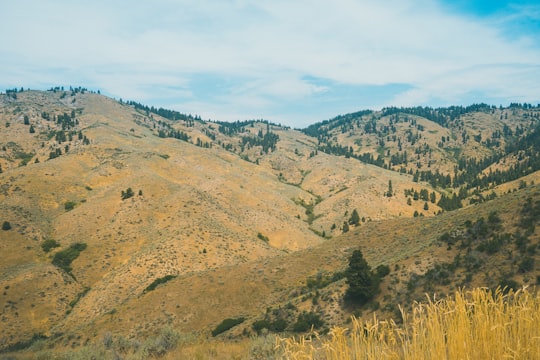 green trees over valley of mountains in Boise United States