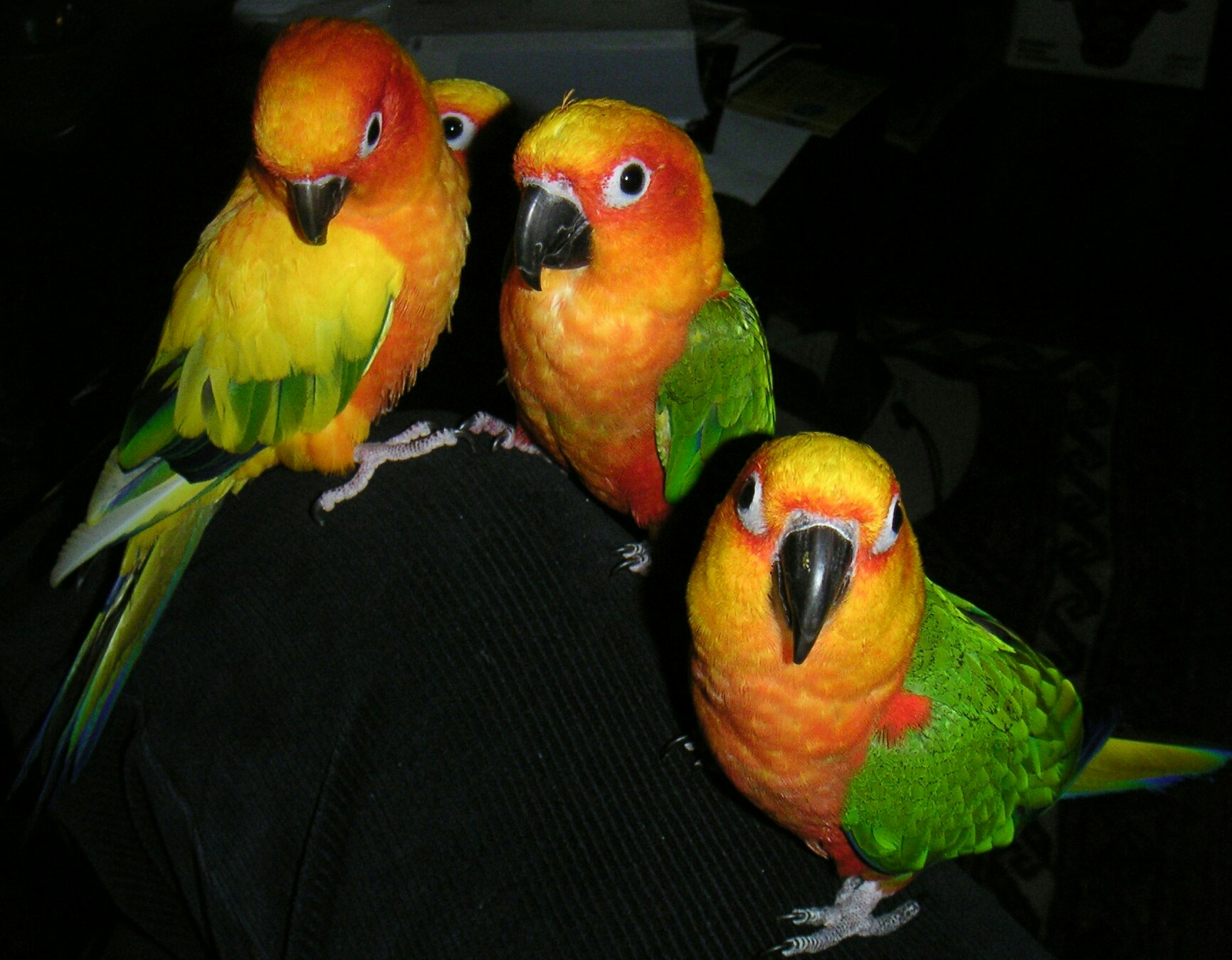 Free Unsplash photo from Cecelia Burokas