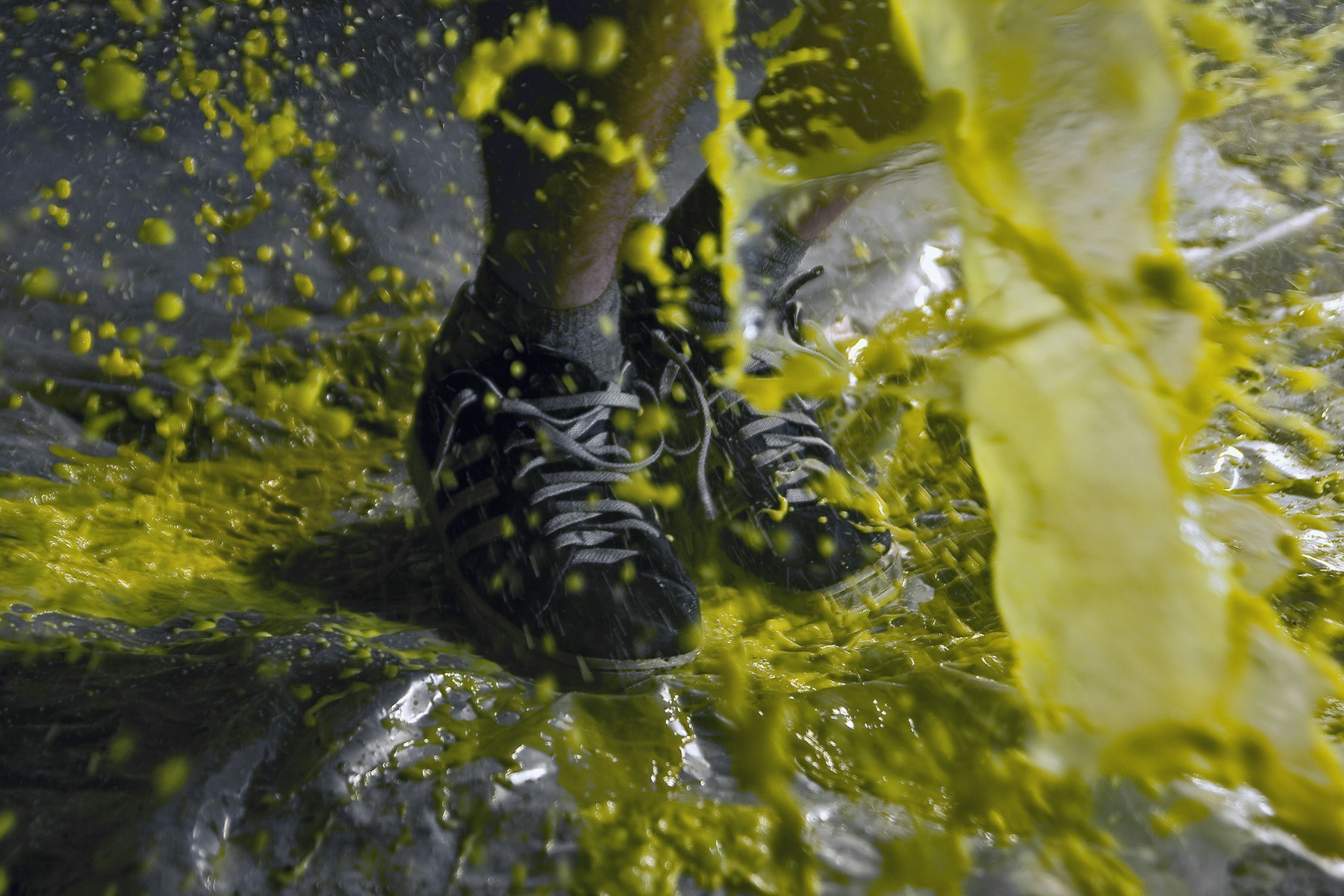 Free Unsplash photo from wojciech twardzik