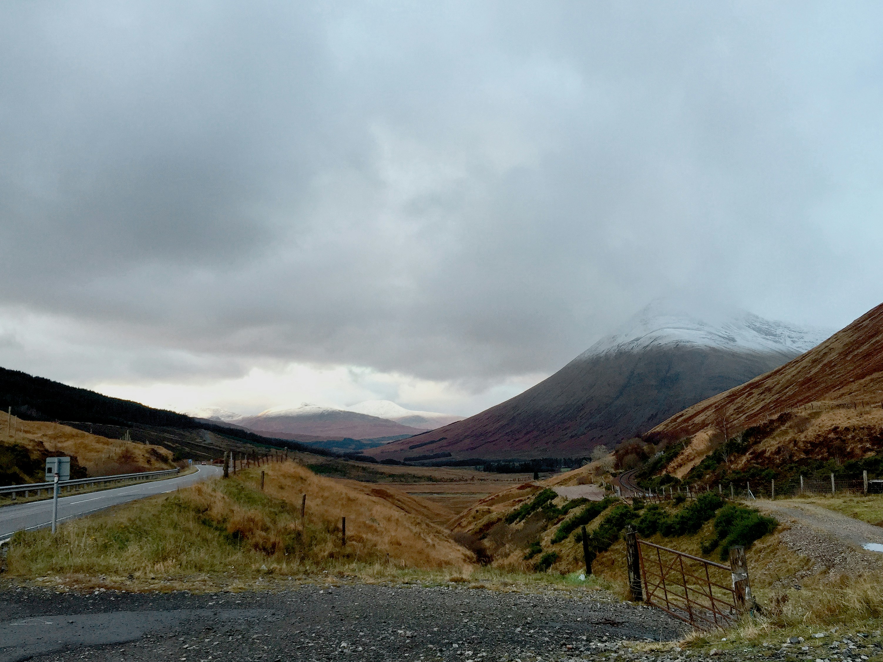 Free Unsplash photo from Yi Zhao